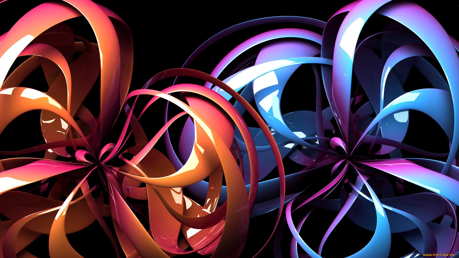 strand, flowers, 3д, графика, abstract, абстракции, ленты, цвета