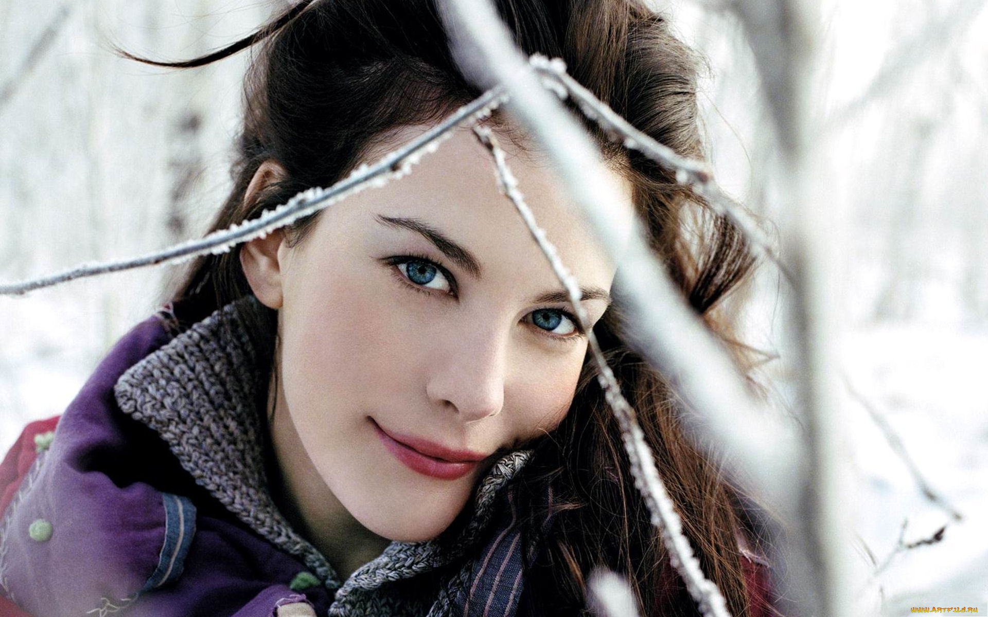 Liv, Tyler, девушки, звезда, актриса, голливуд