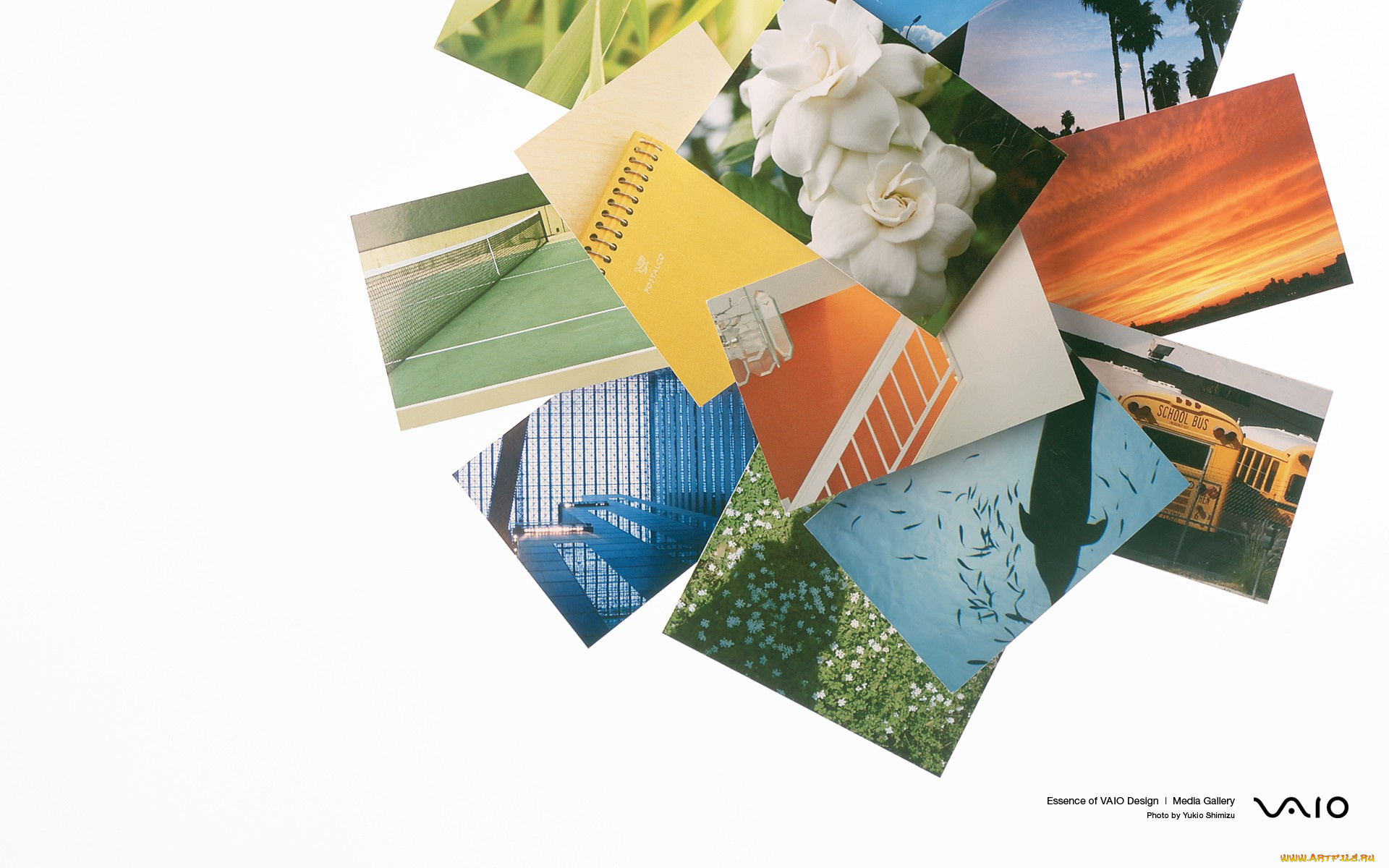 компьютеры, vaio