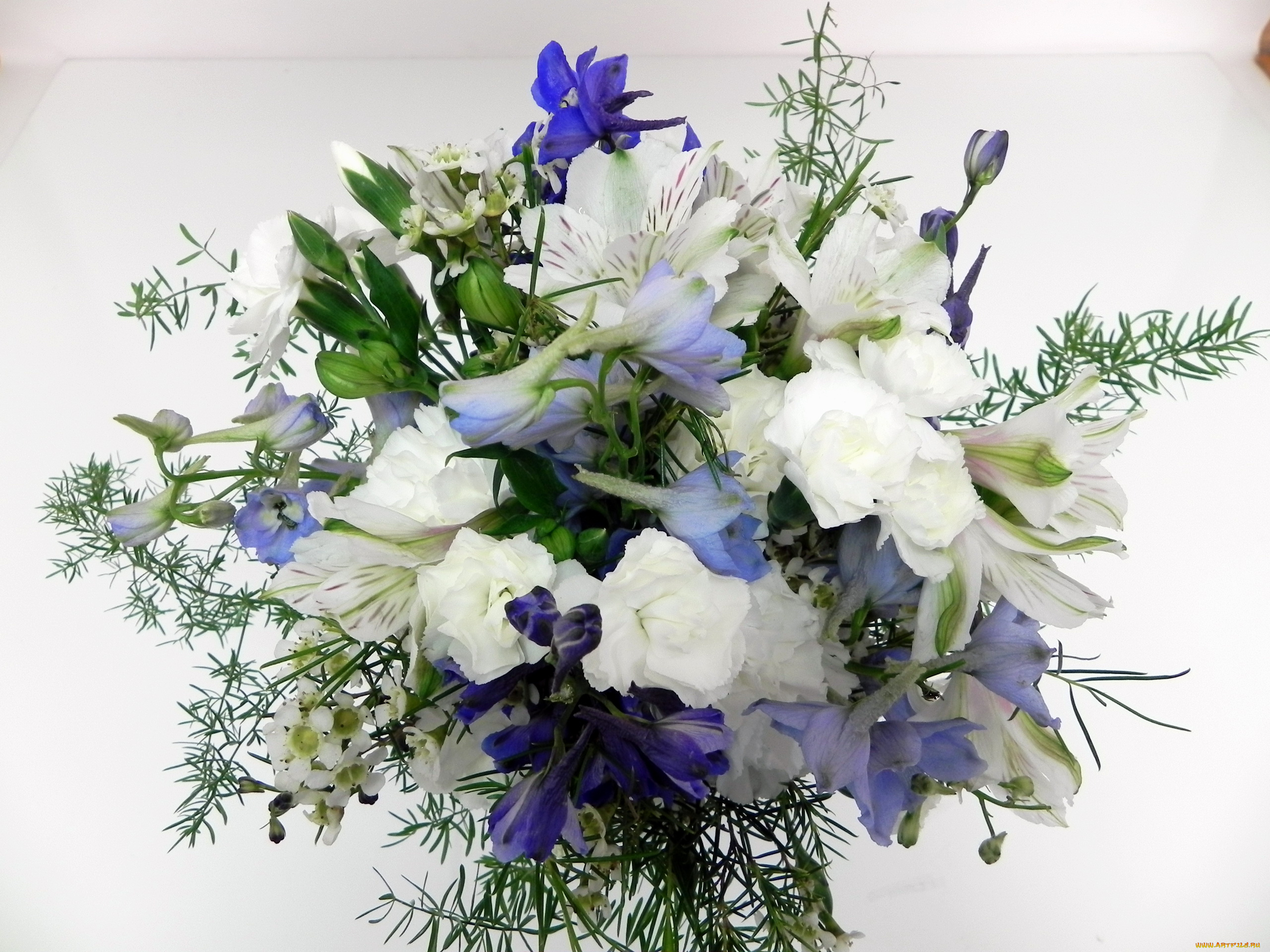 цветы, букеты, композиции, букет, ирисы