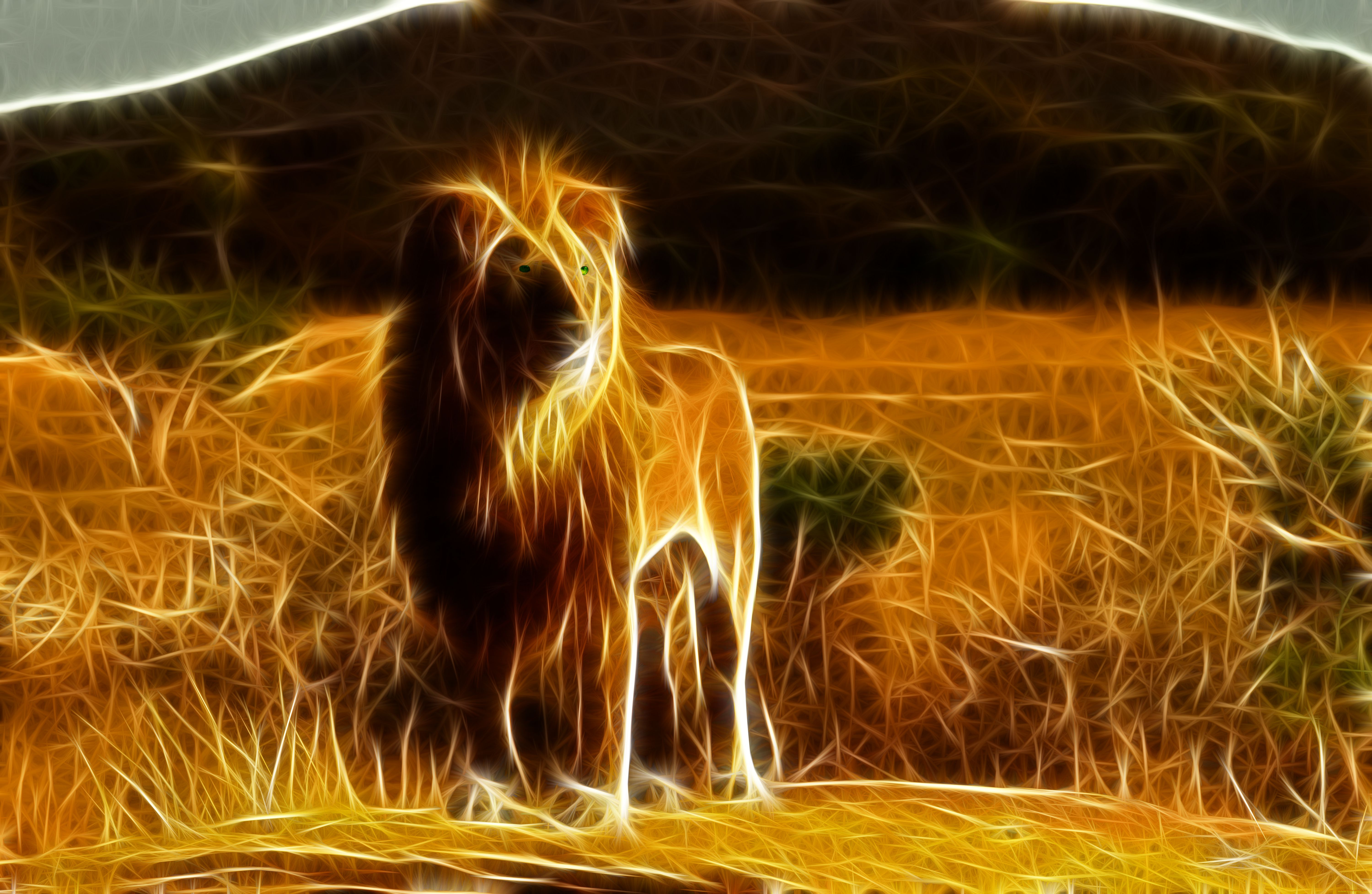 3д, графика, animals, животные, лев