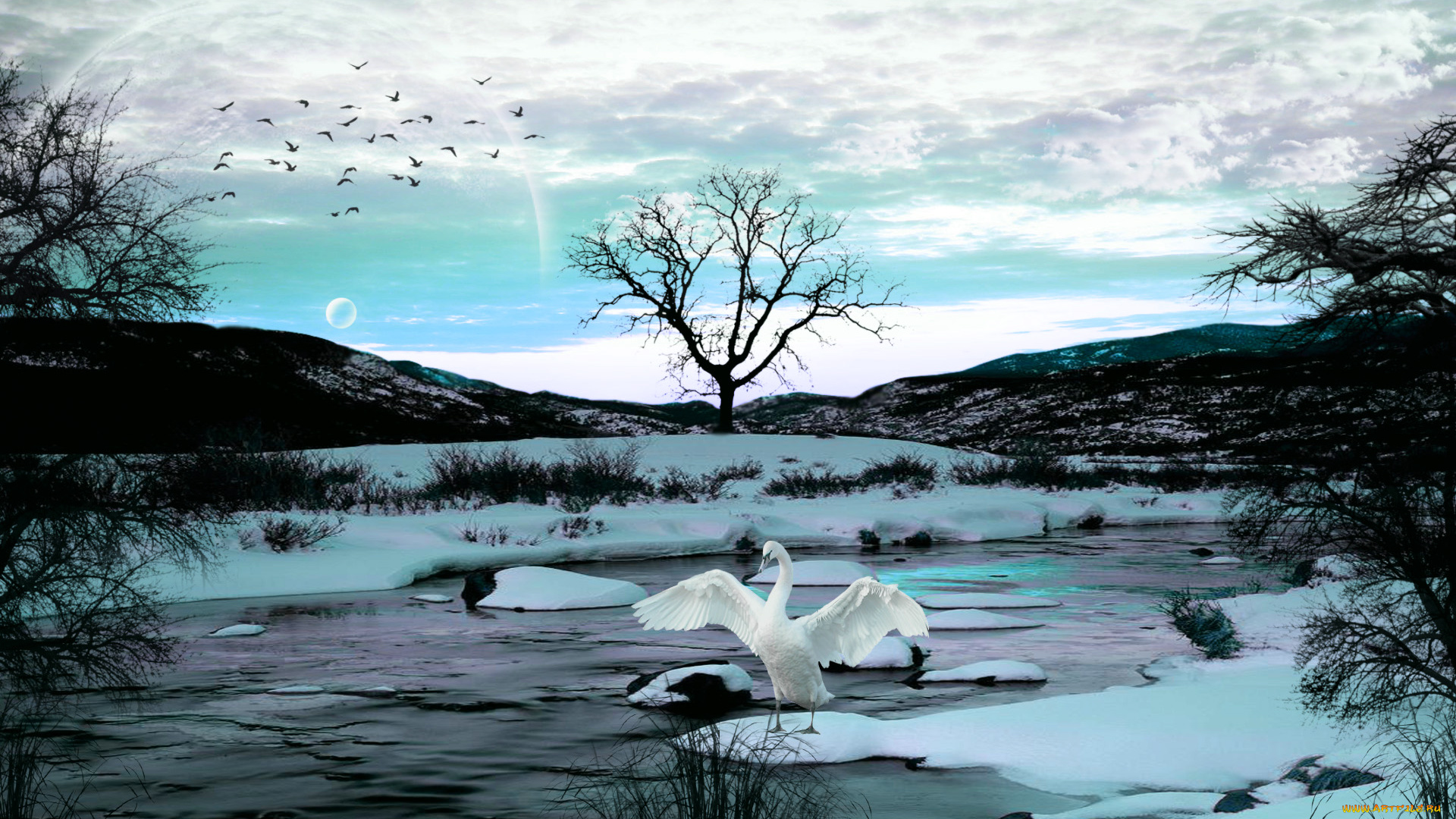 3д, графика, animals, животные, река, снег, дерево, лебедь