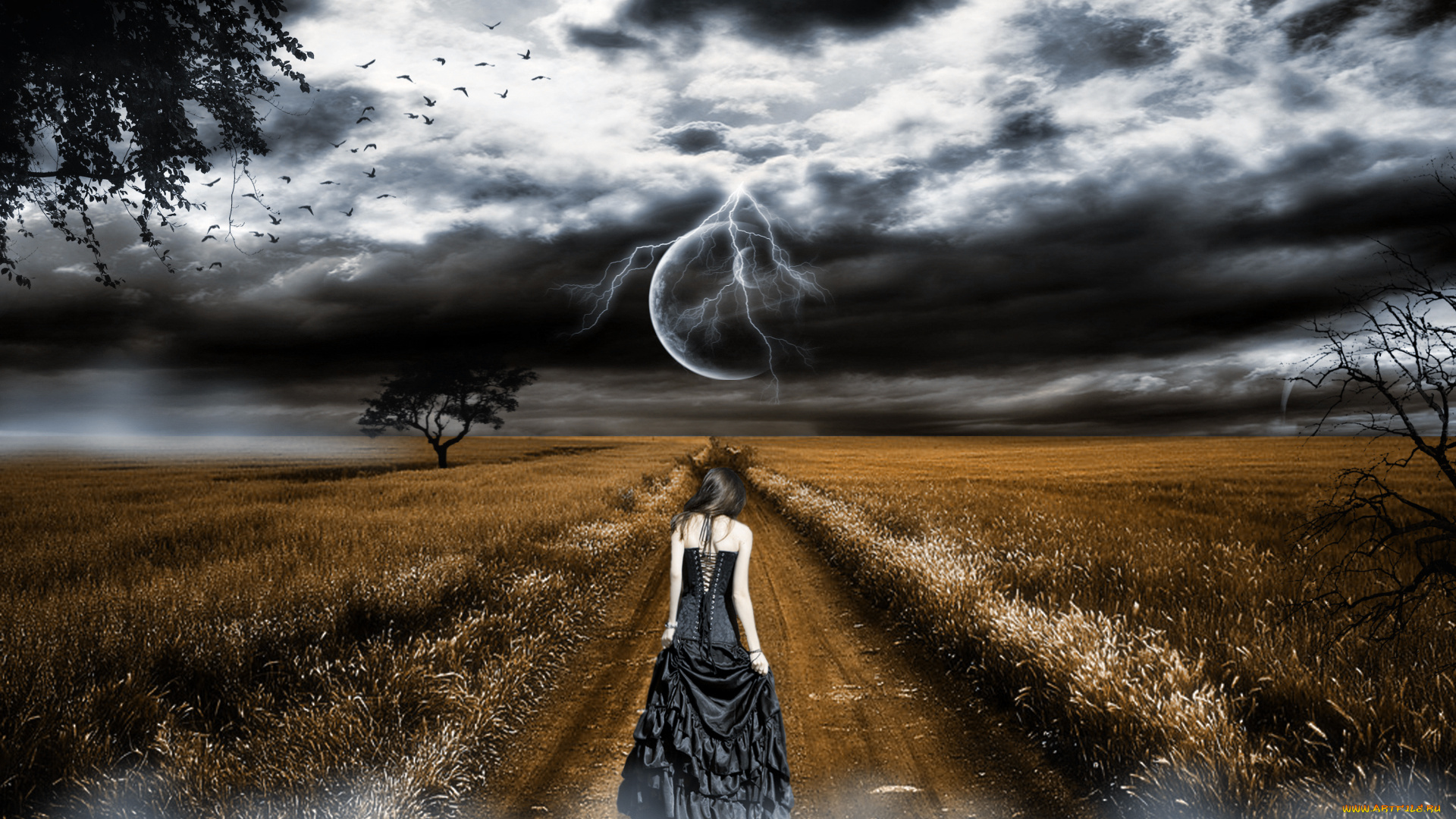 3д, графика, atmosphere, mood, атмосфера, настроения, колосья, поле, птицы, тучи, девушка, дорога, молния, планеты