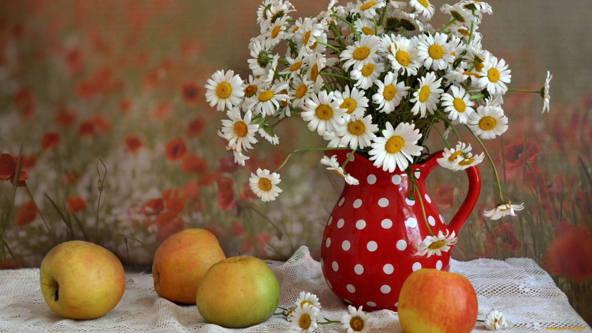 еда, Яблоки, кувшин, ромашки