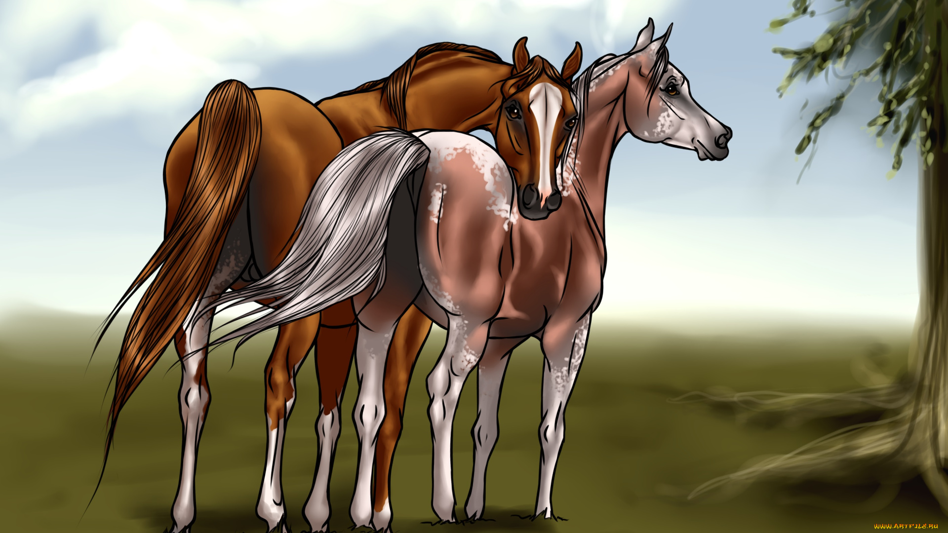 рисованные, животные, лошади