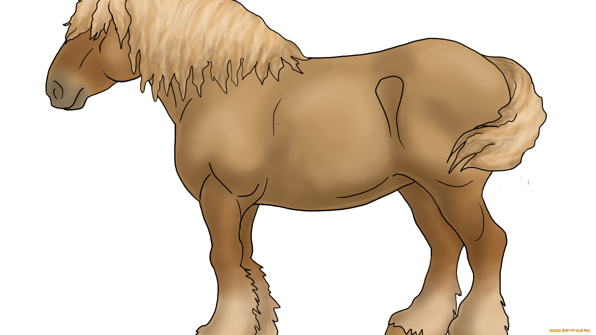 рисованные, животные, лошади, лошадь