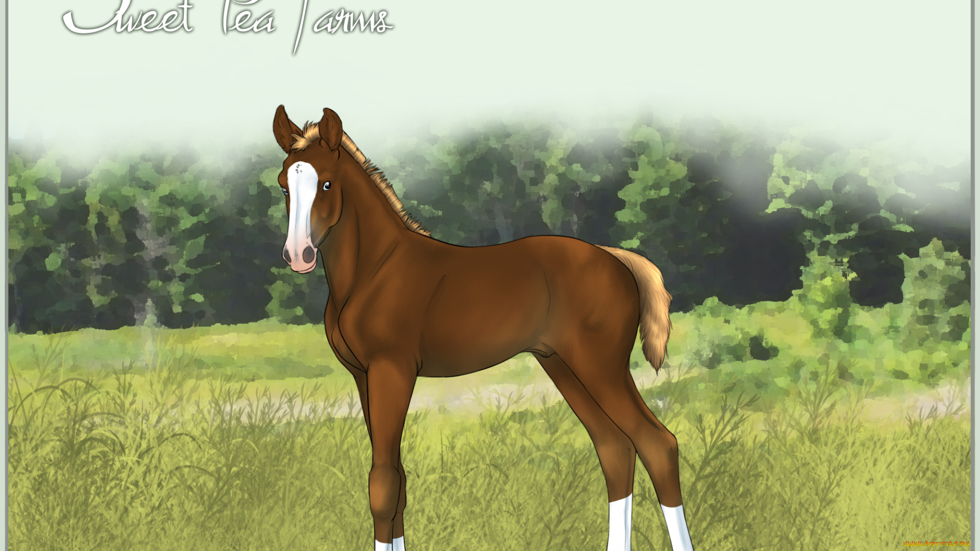 рисованные, животные, лошади, лошадь