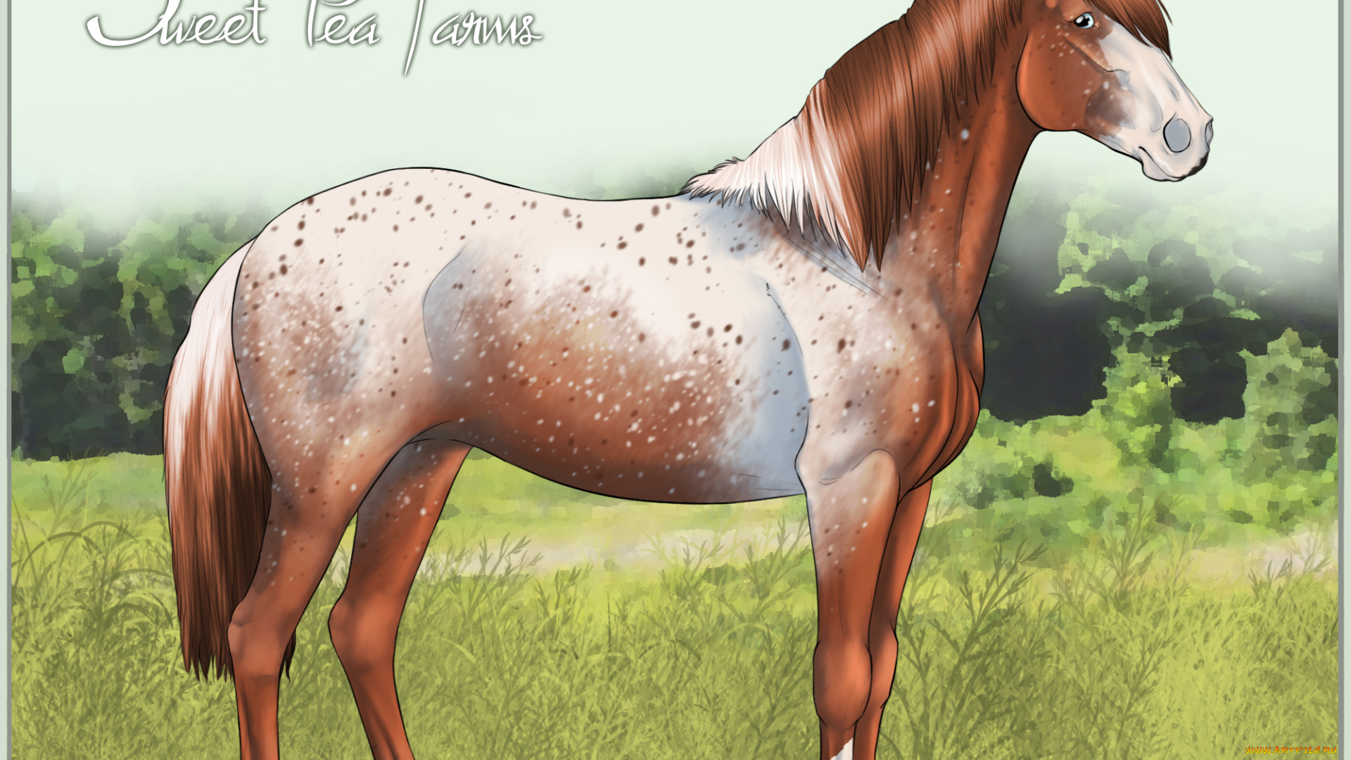 рисованные, животные, лошади, лошадь