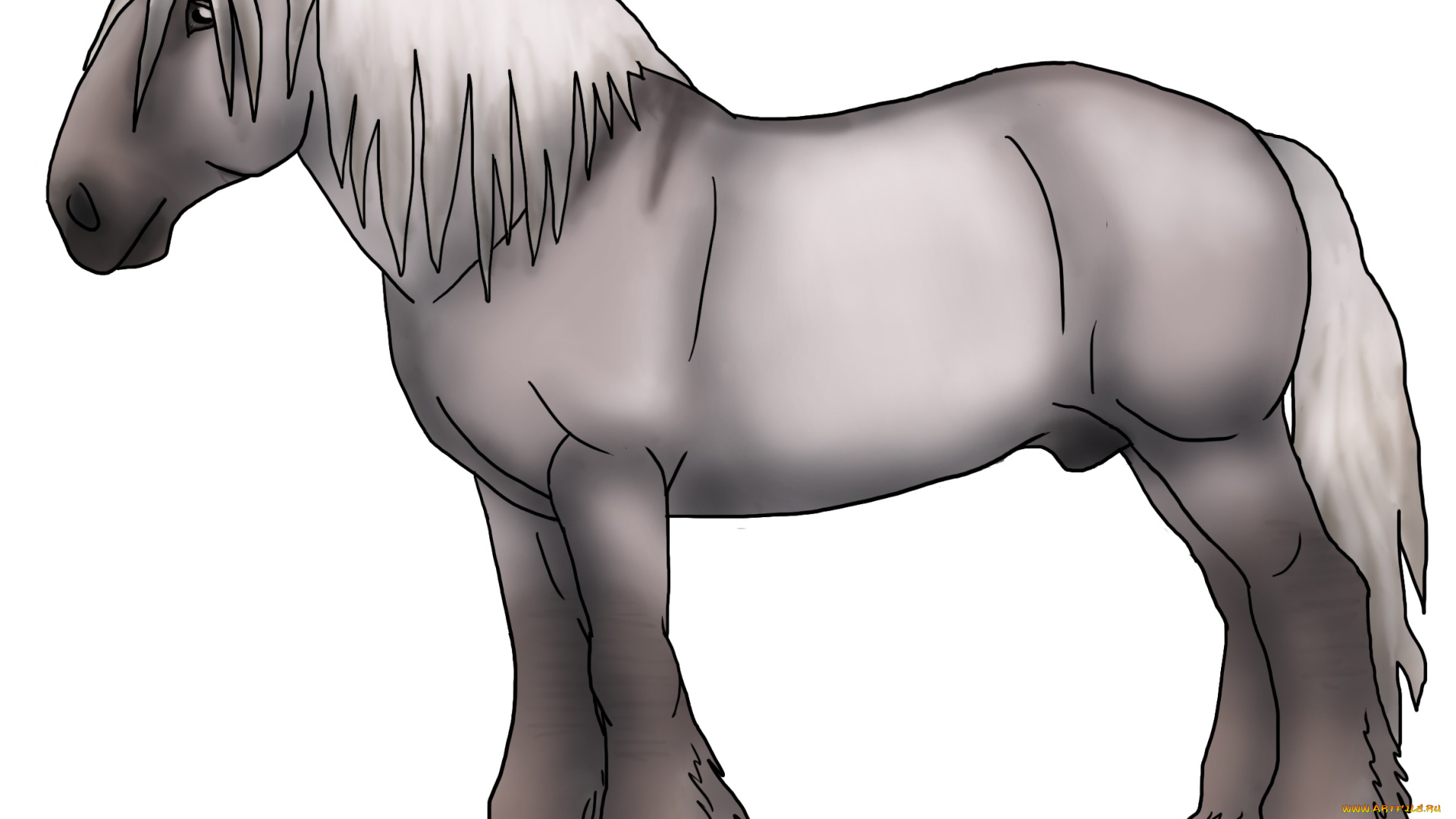 рисованные, животные, лошади, лошадь