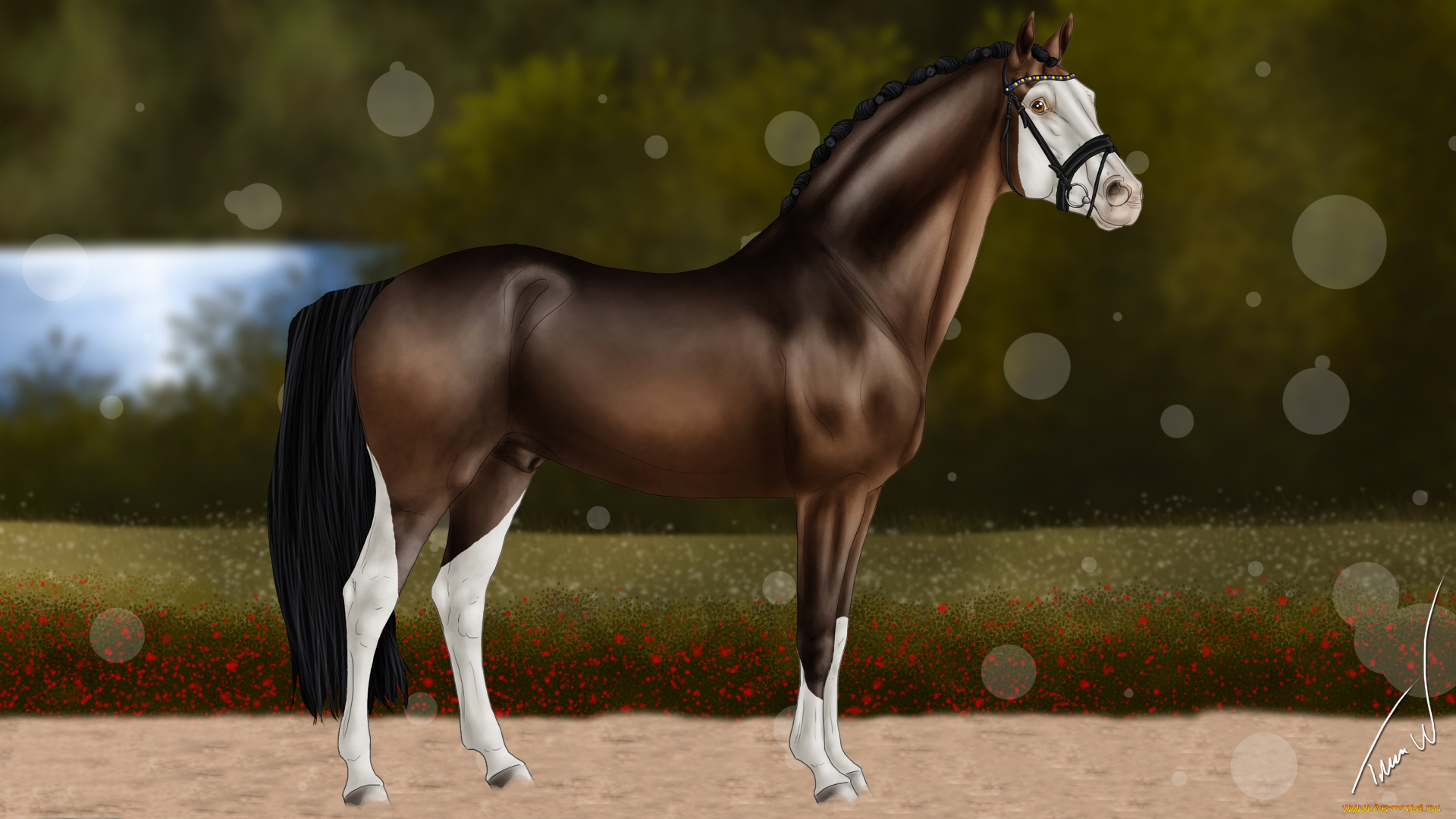 рисованные, животные, лошади, лошадь