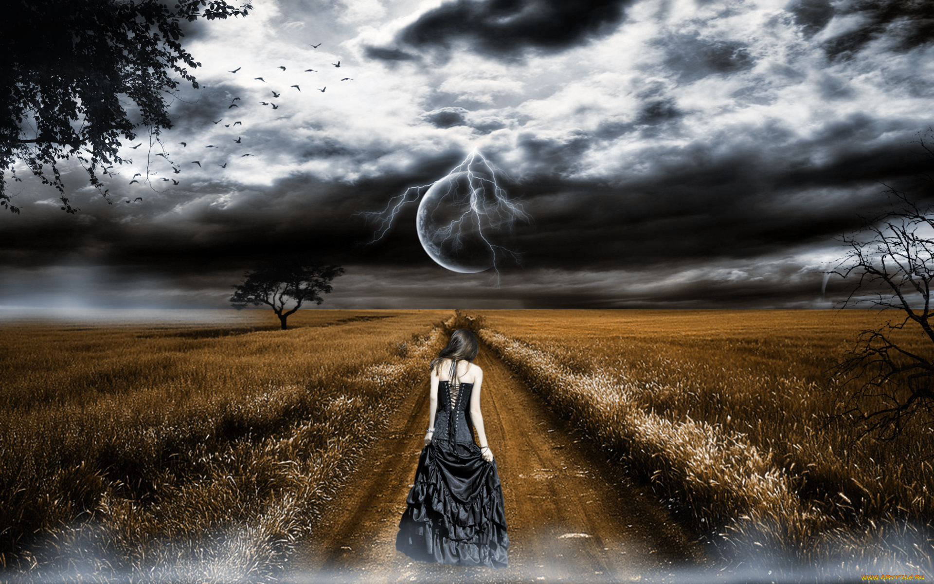 3д, графика, atmosphere, mood, атмосфера, настроения, колосья, поле, птицы, тучи, девушка, дорога, молния, планеты