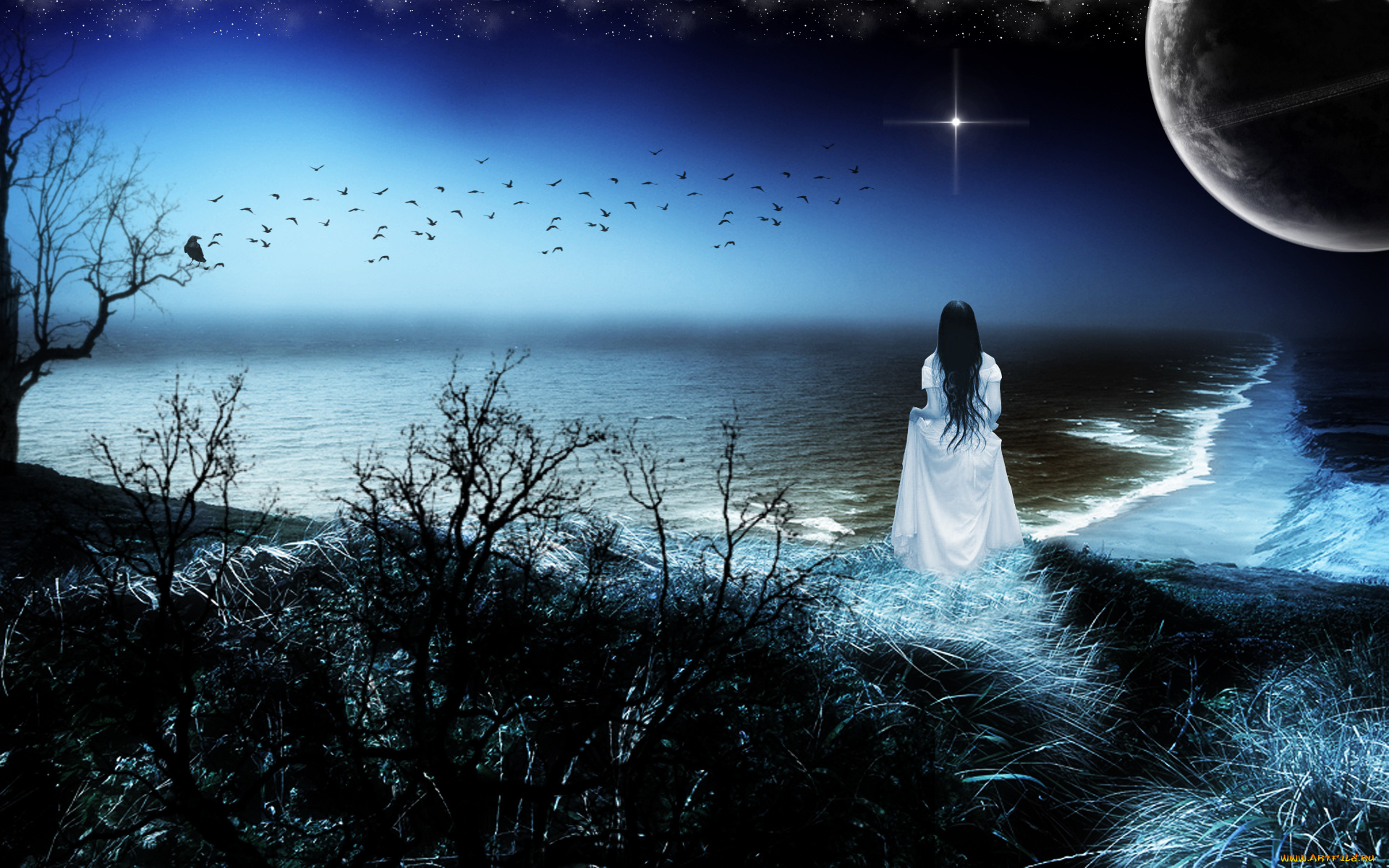 3д, графика, atmosphere, mood, атмосфера, настроения, звезда, девушка, океан, берег, дерево, плпнета
