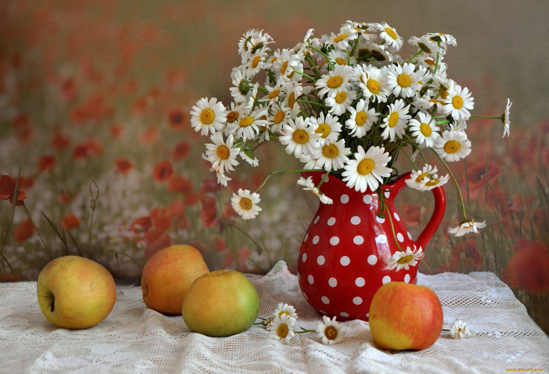 еда, Яблоки, кувшин, ромашки