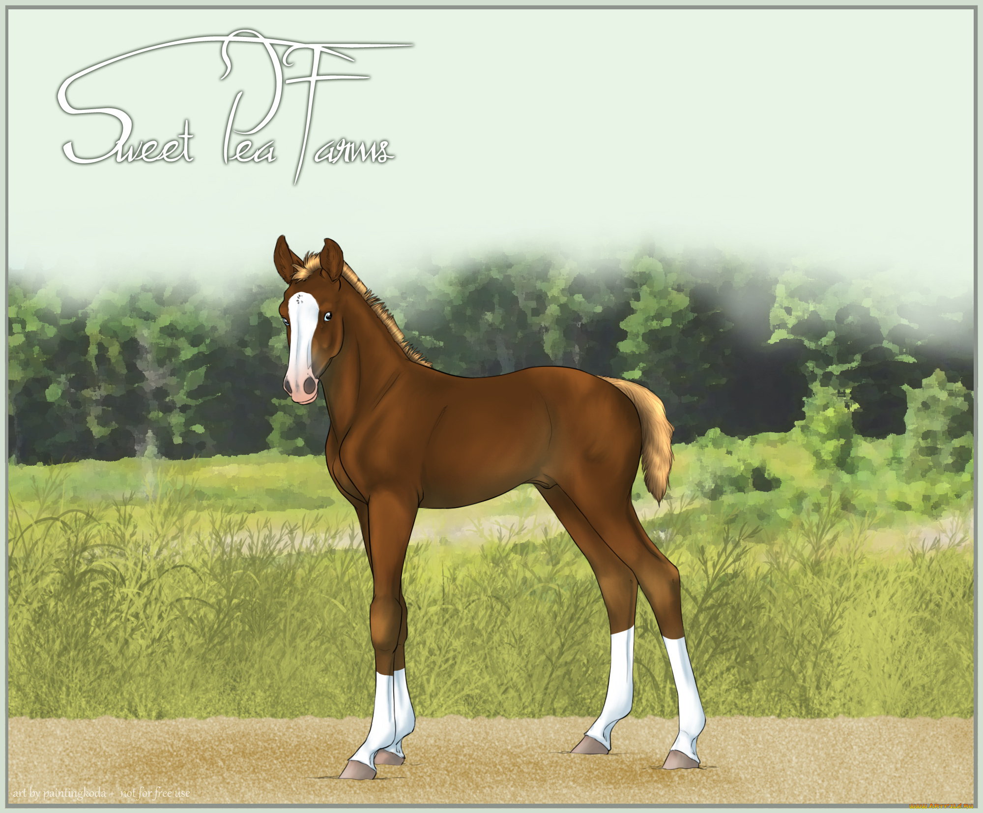 рисованные, животные, лошади, лошадь