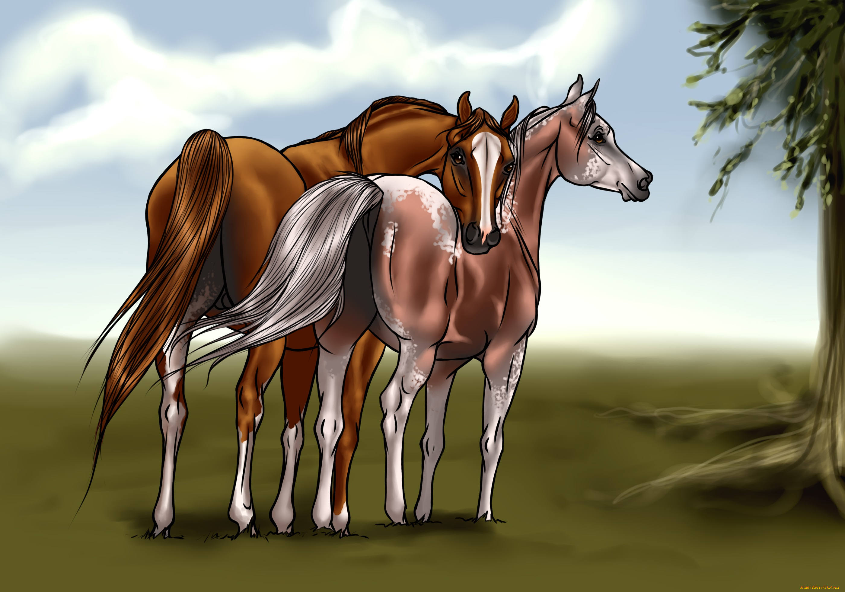 рисованные, животные, лошади
