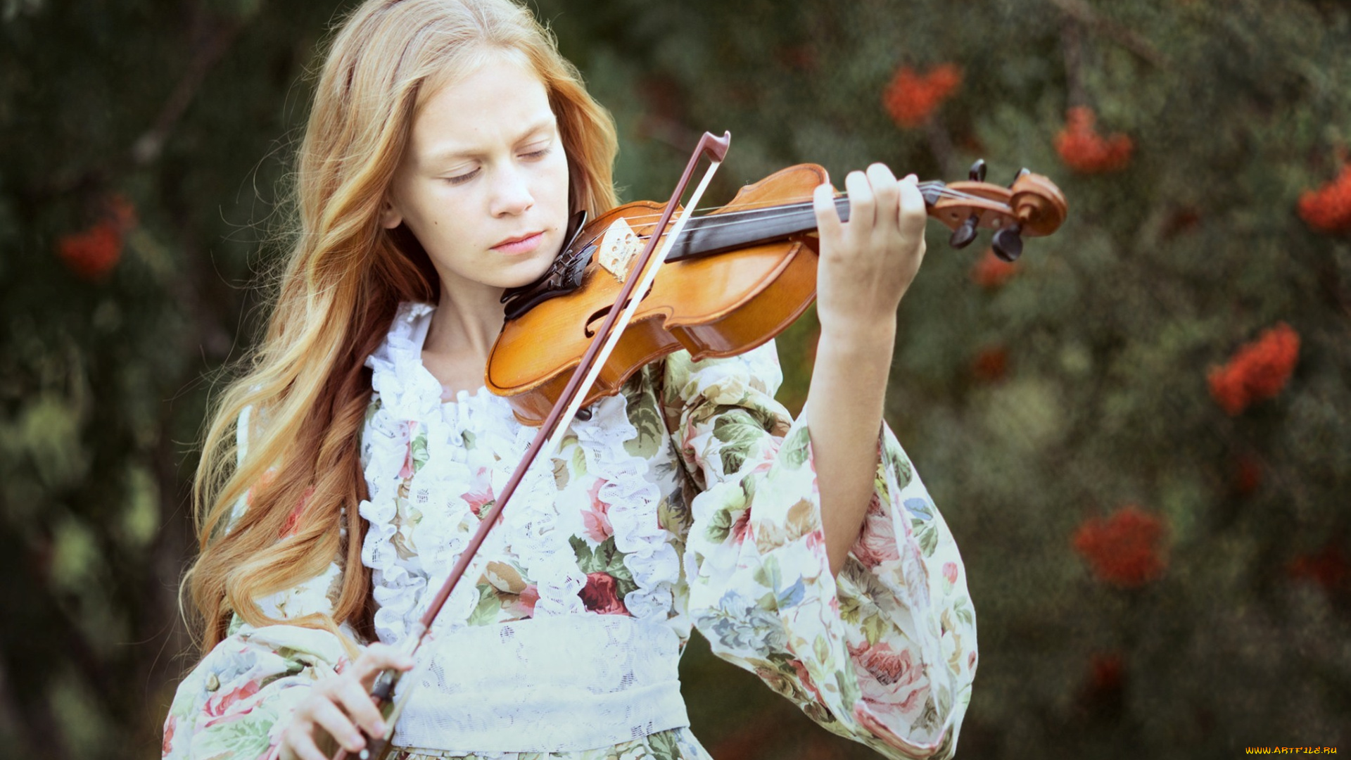 музыка, -, другое, девушка, скрипка