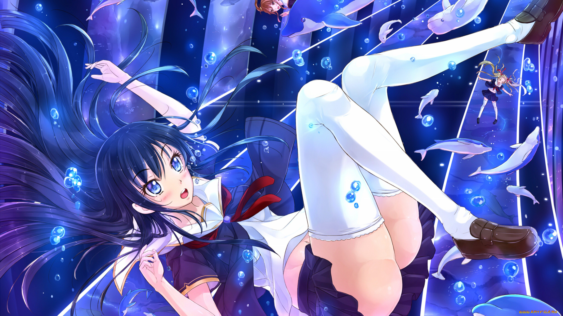 аниме, животные, , существа, рыбы, фон, взгляд, вода, девушки, дельфин