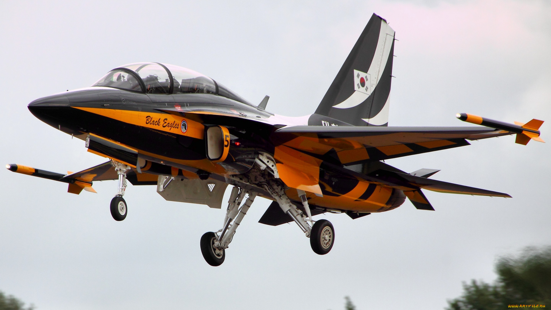 авиация, боевые, самолёты, шасси