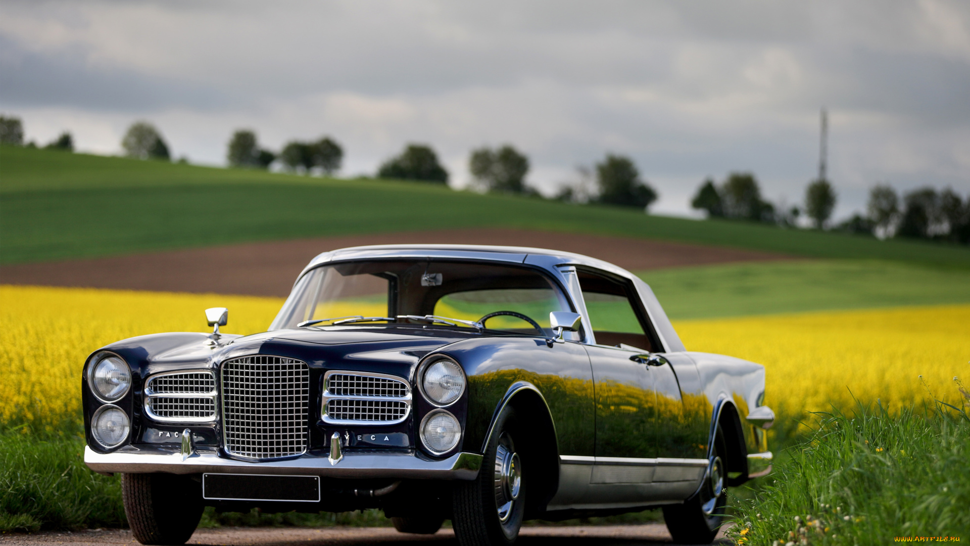 автомобили, facel