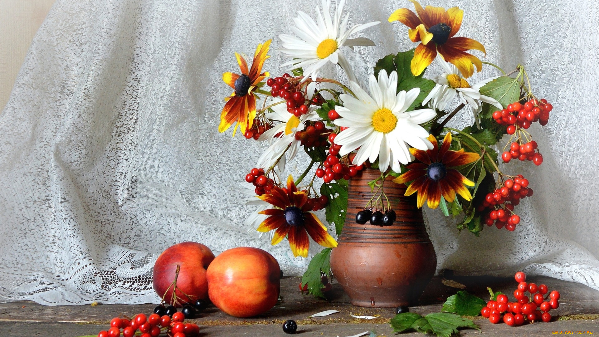 еда, натюрморт, букет, ромашки, рудбекия, калина, арония, нектарины