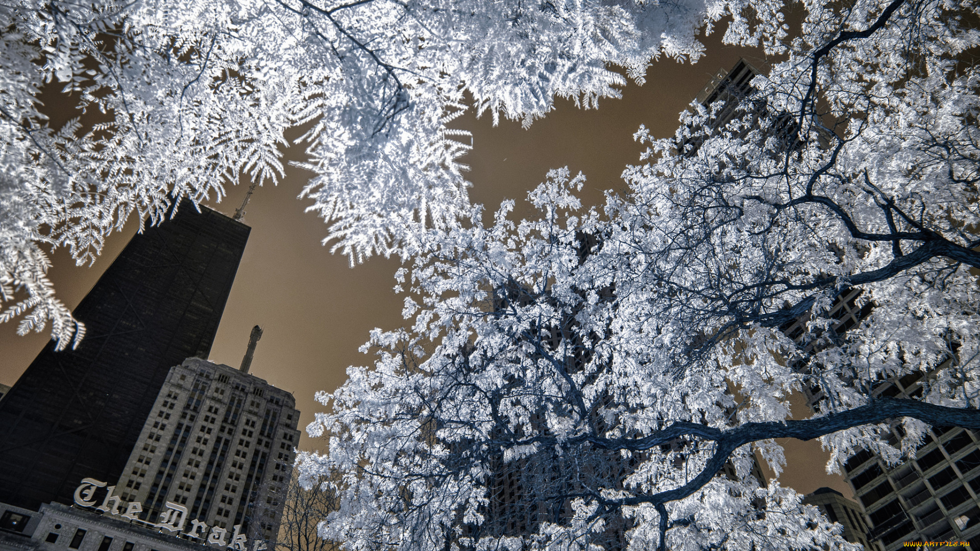 разное, компьютерный, дизайн, обработка, город, деревья