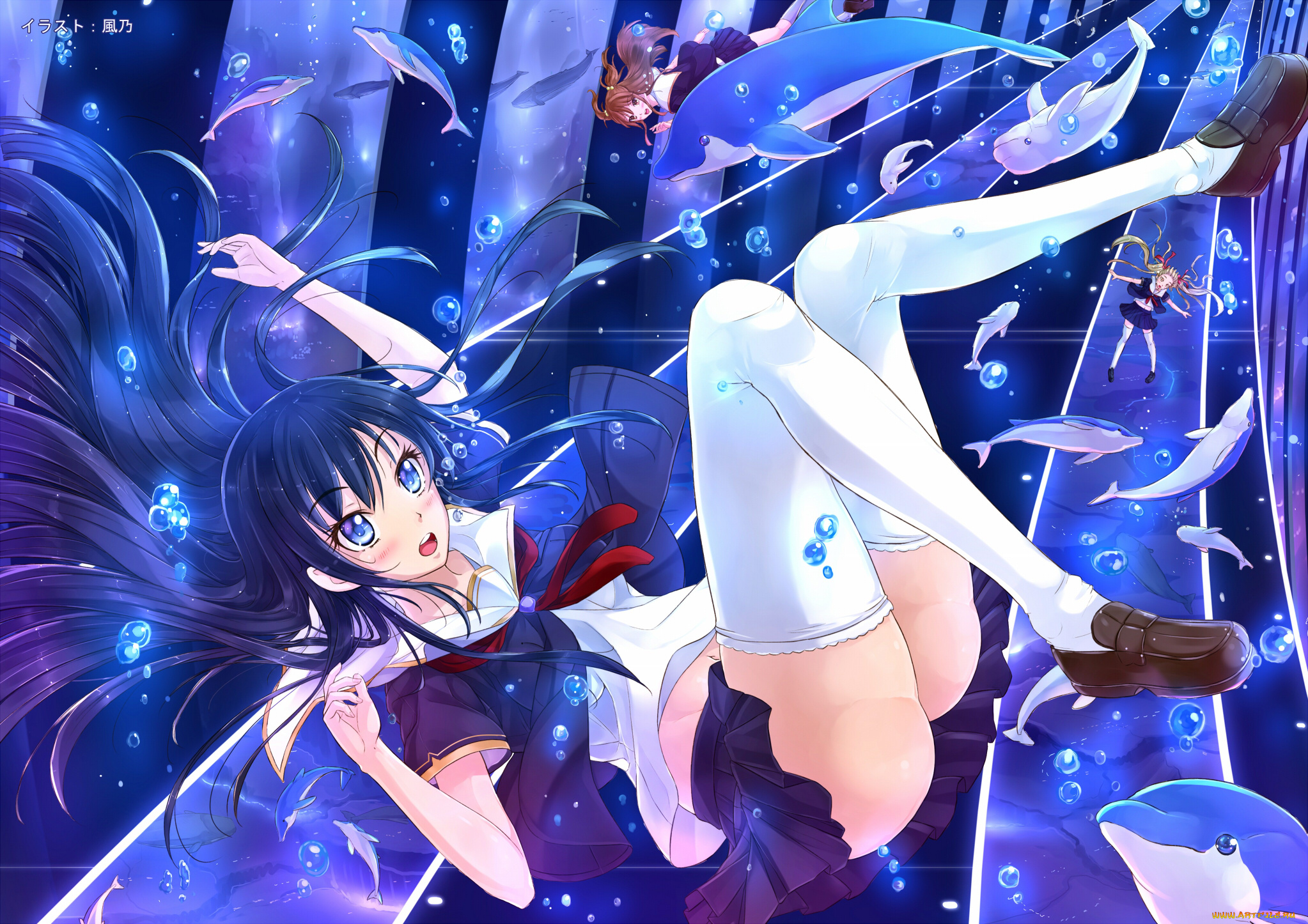 аниме, животные, , существа, рыбы, фон, взгляд, вода, девушки, дельфин