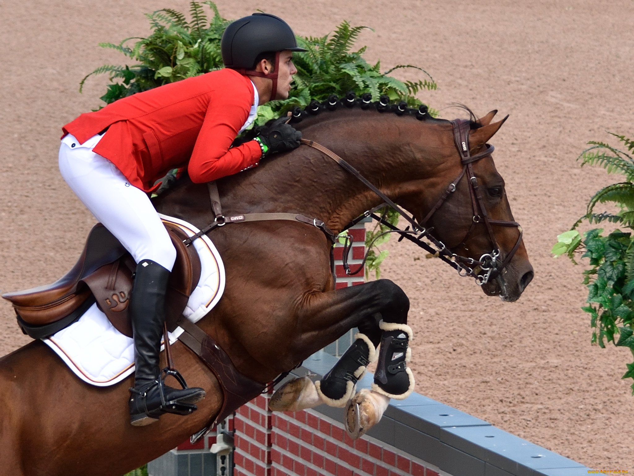 спорт, конный, спорт, ипподром, скачки, жокей, лошадь