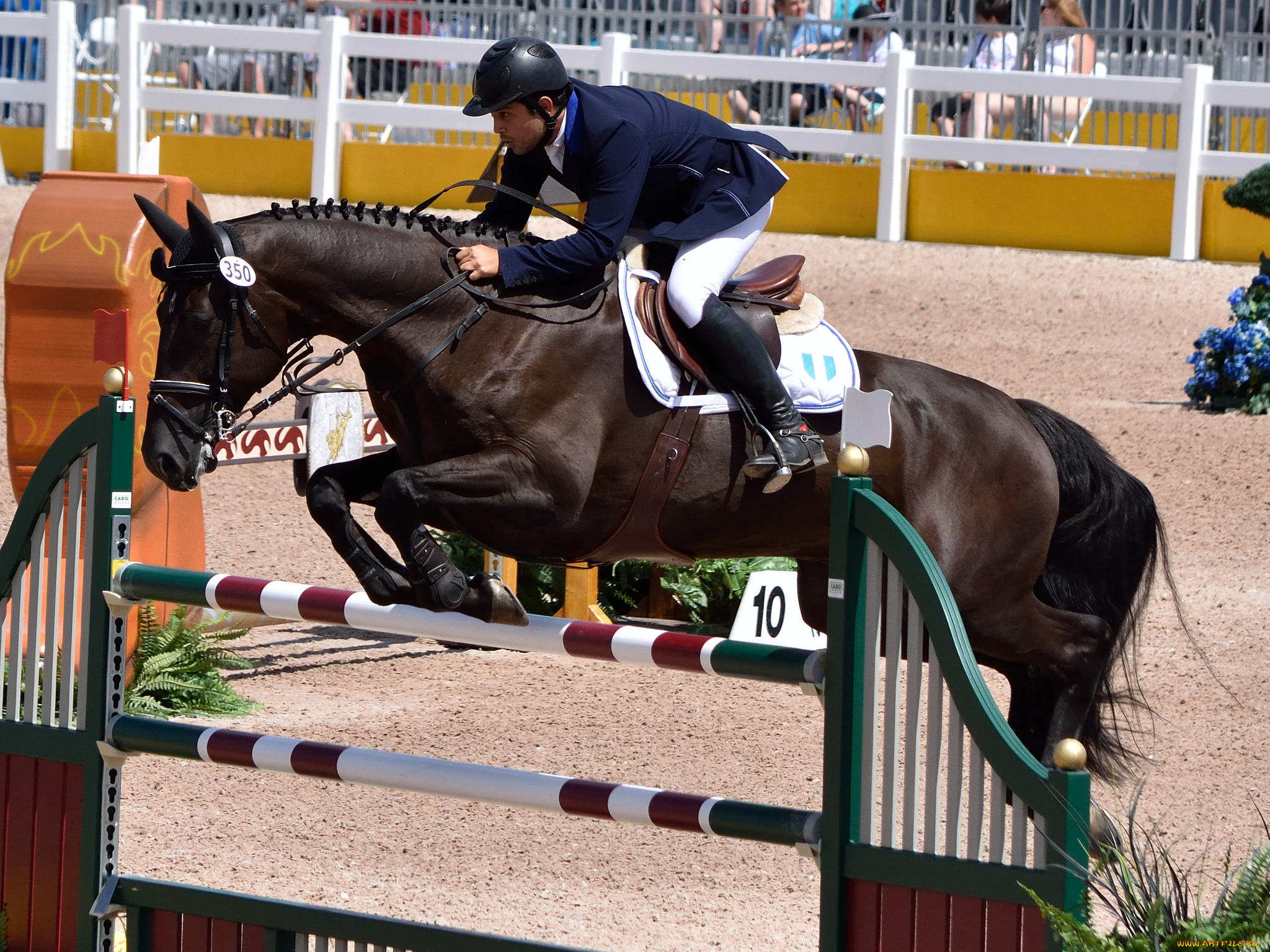 спорт, конный, спорт, скачки, жокей, лошадь, ипподром