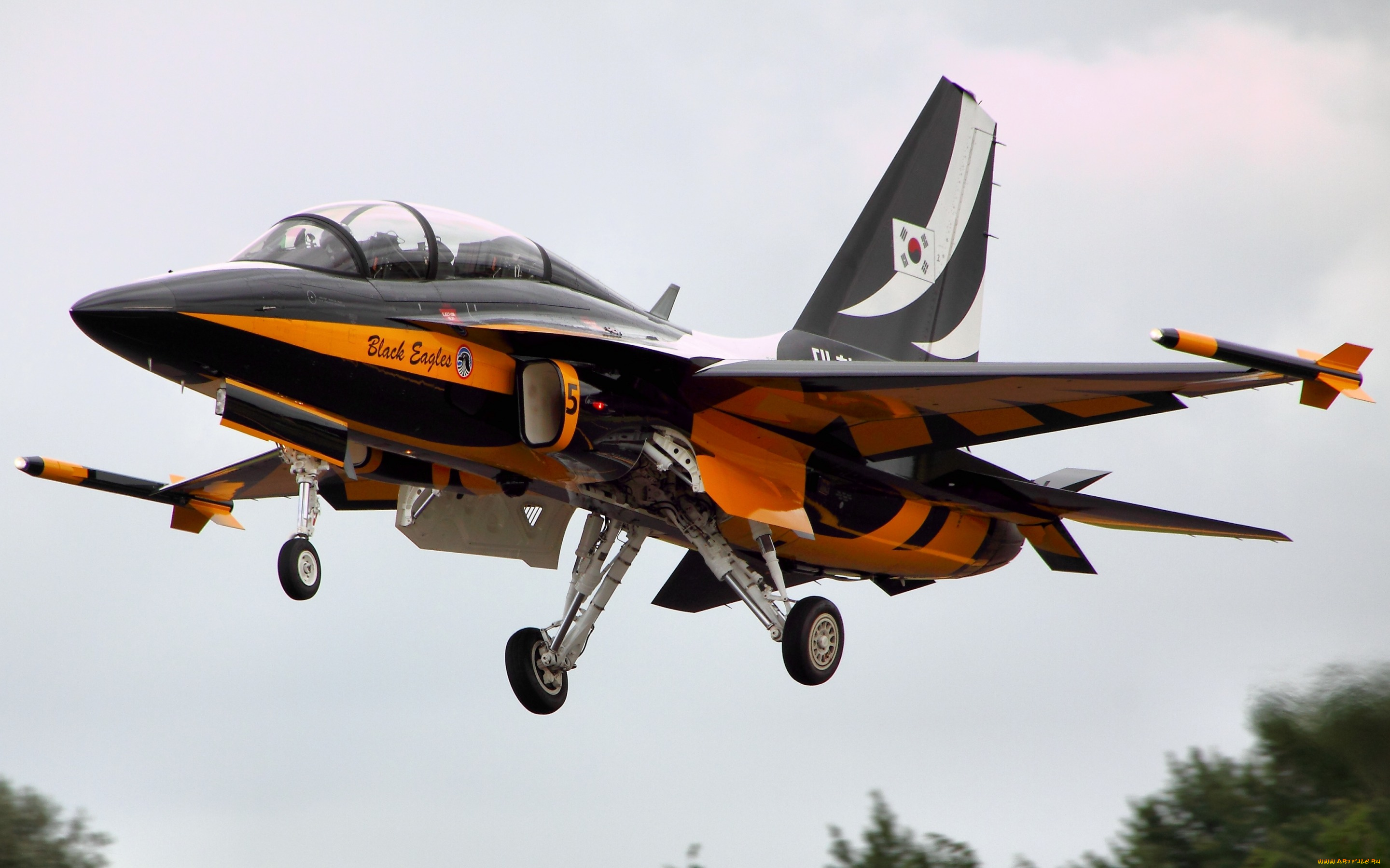 авиация, боевые, самолёты, шасси