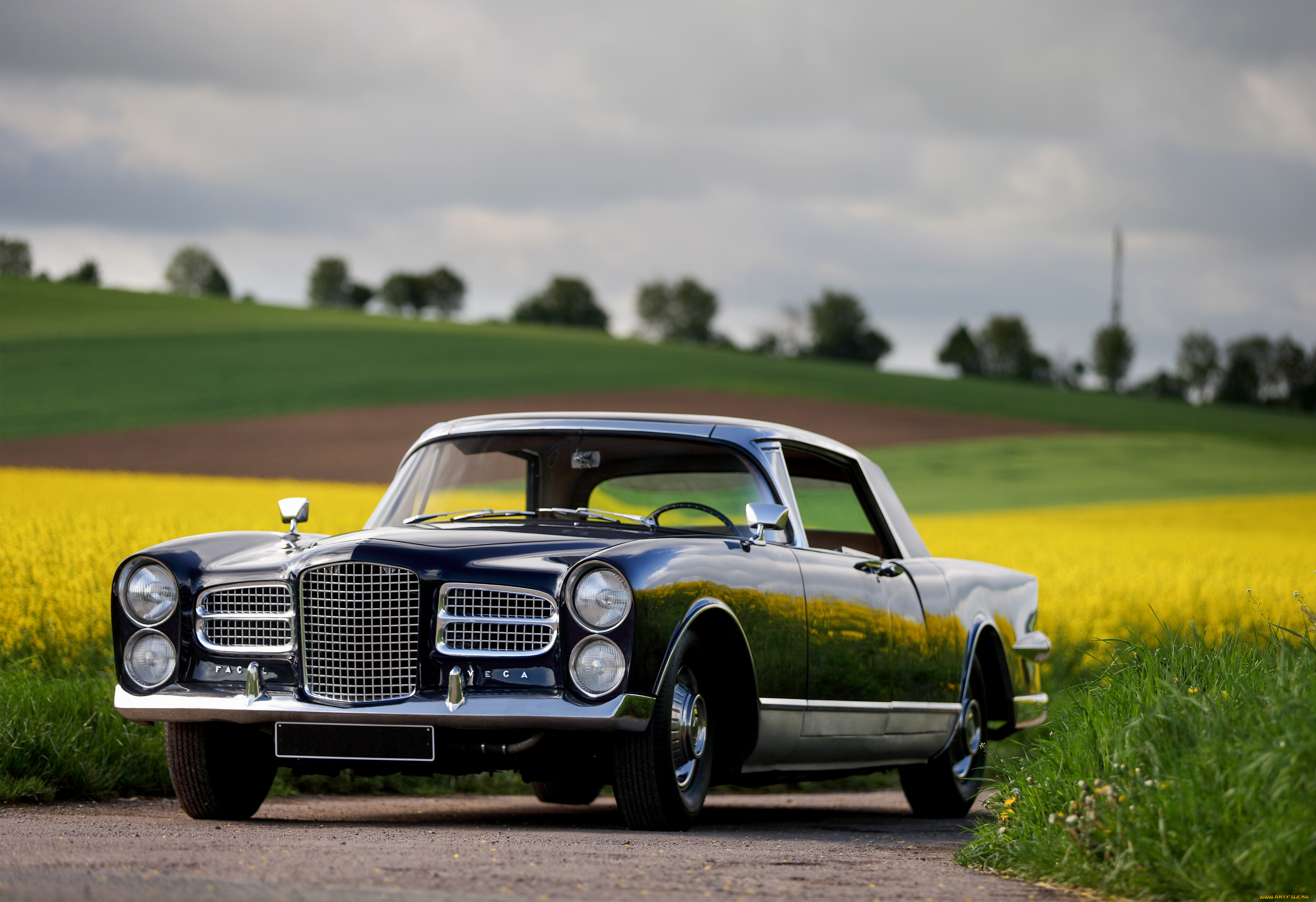 автомобили, facel