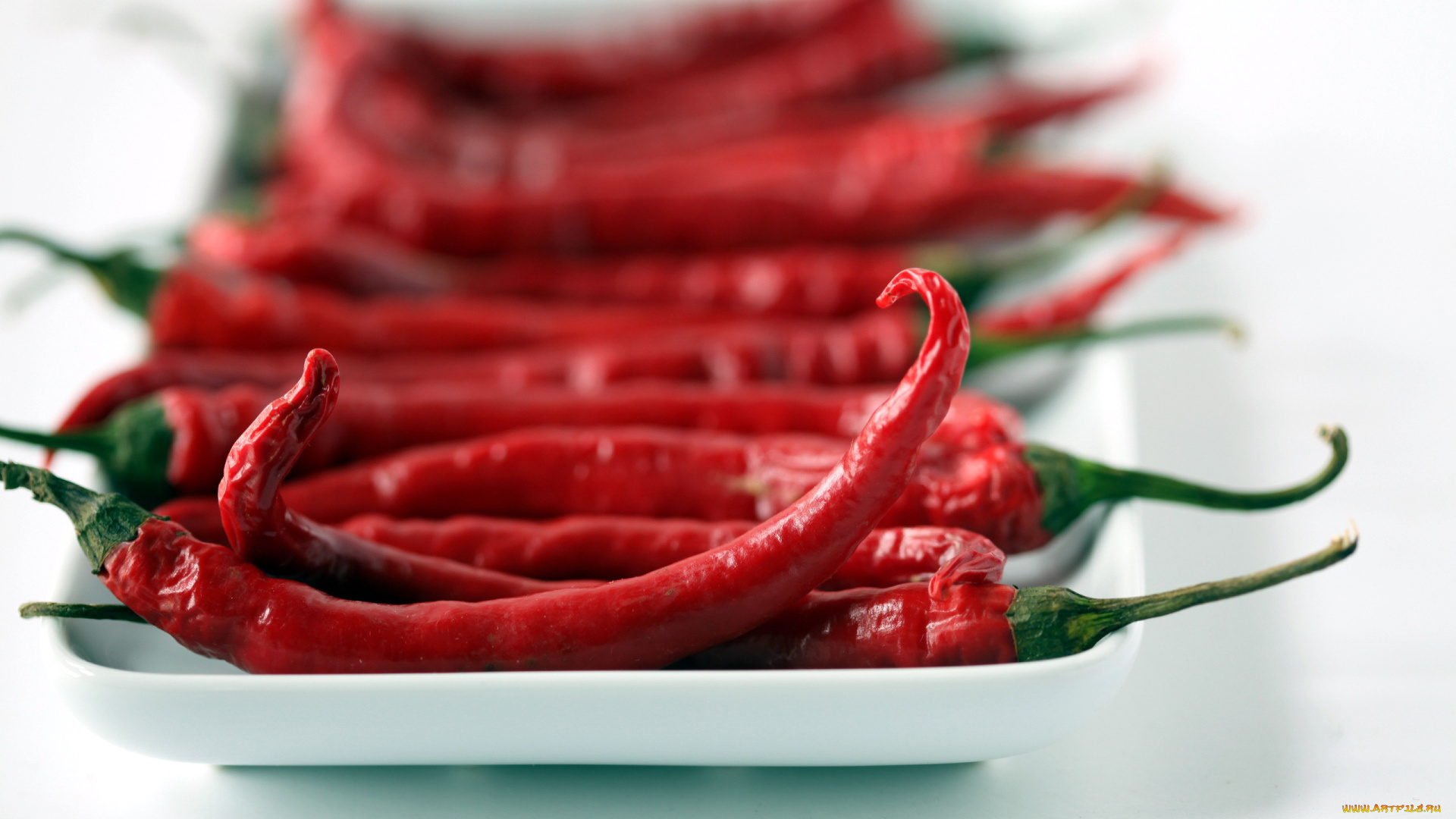 еда, перец, красный, острый, чили