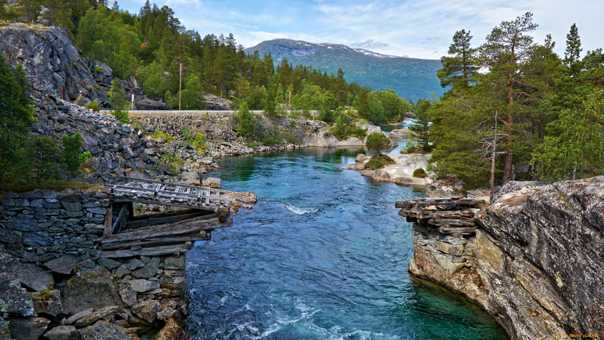 природа, реки, озера, река, лес