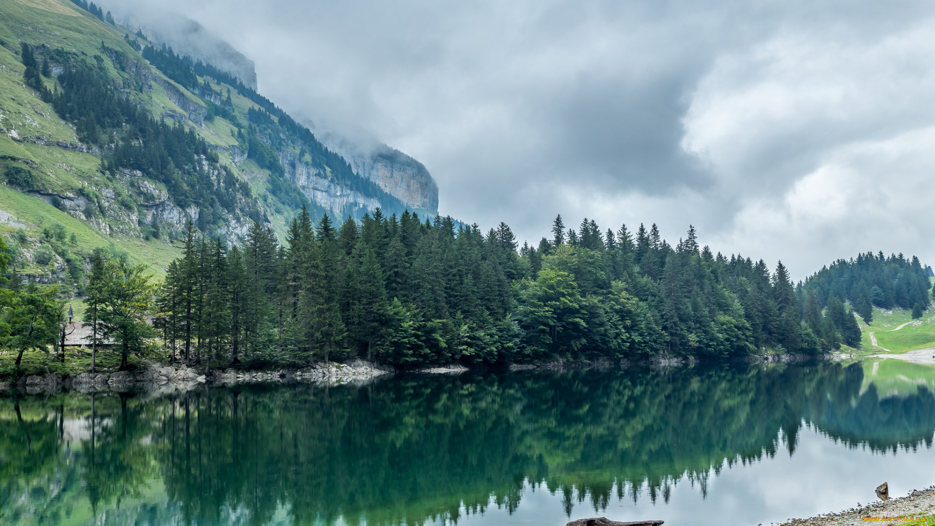 природа, реки, озера, река, лес