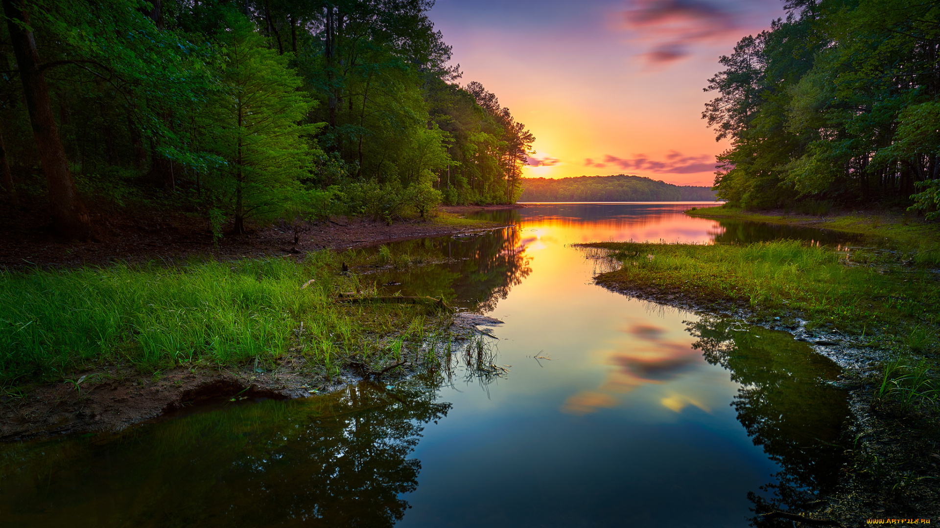 природа, реки, озера, река, лес