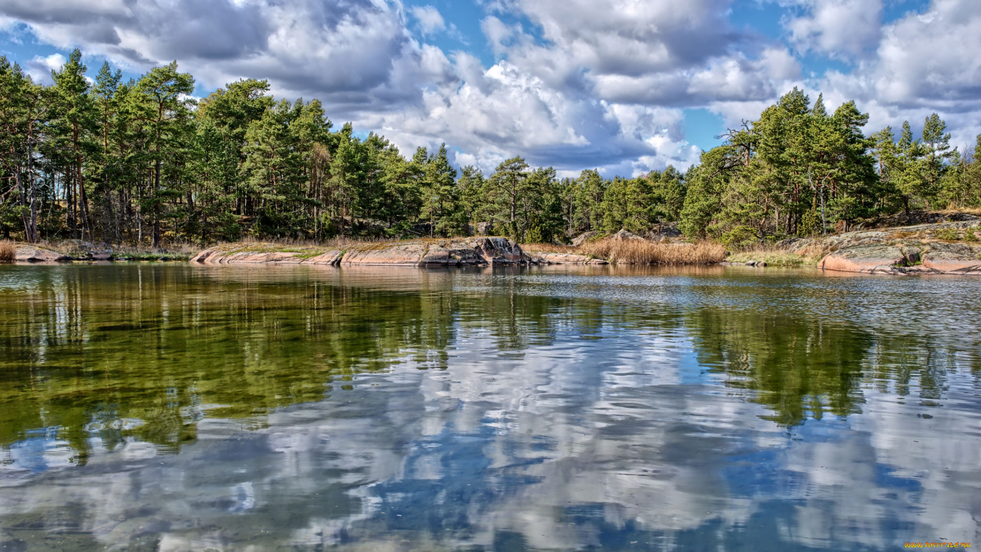 природа, реки, озера, река, лес