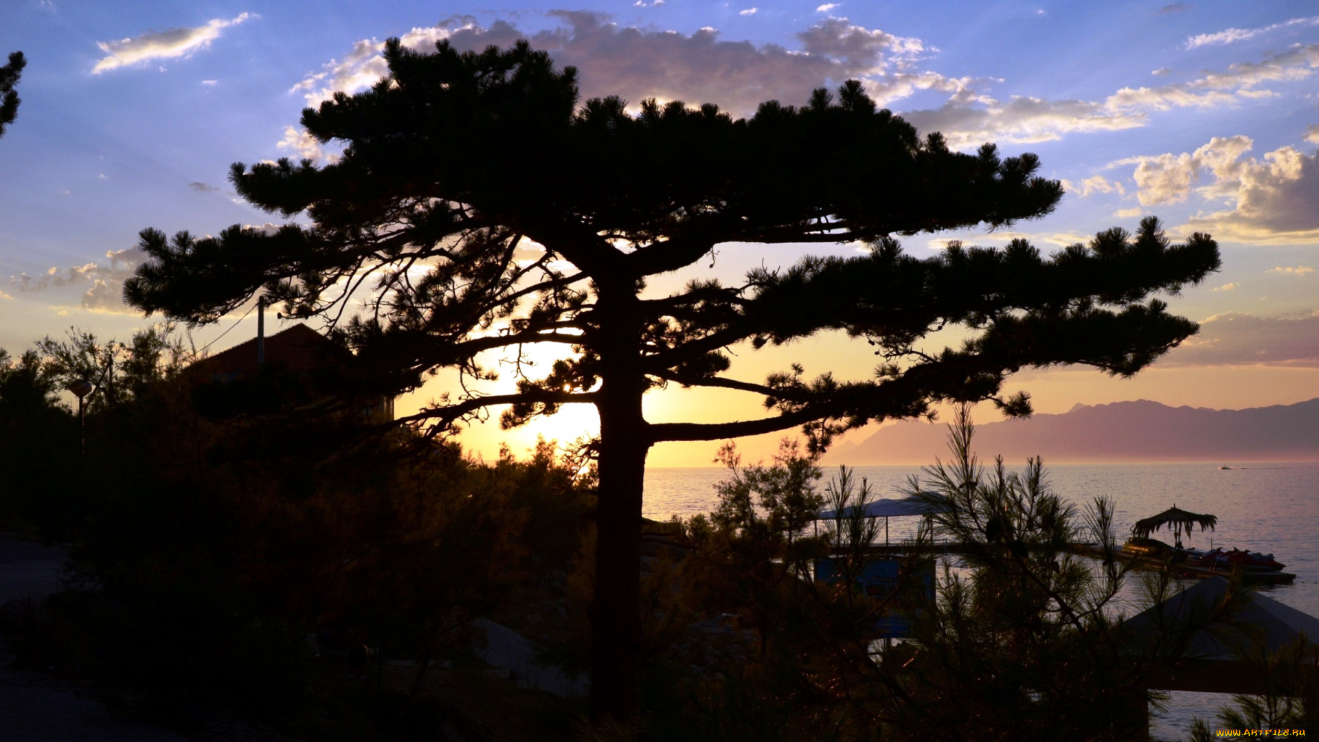 природа, восходы, закаты, дерево, закат, облака