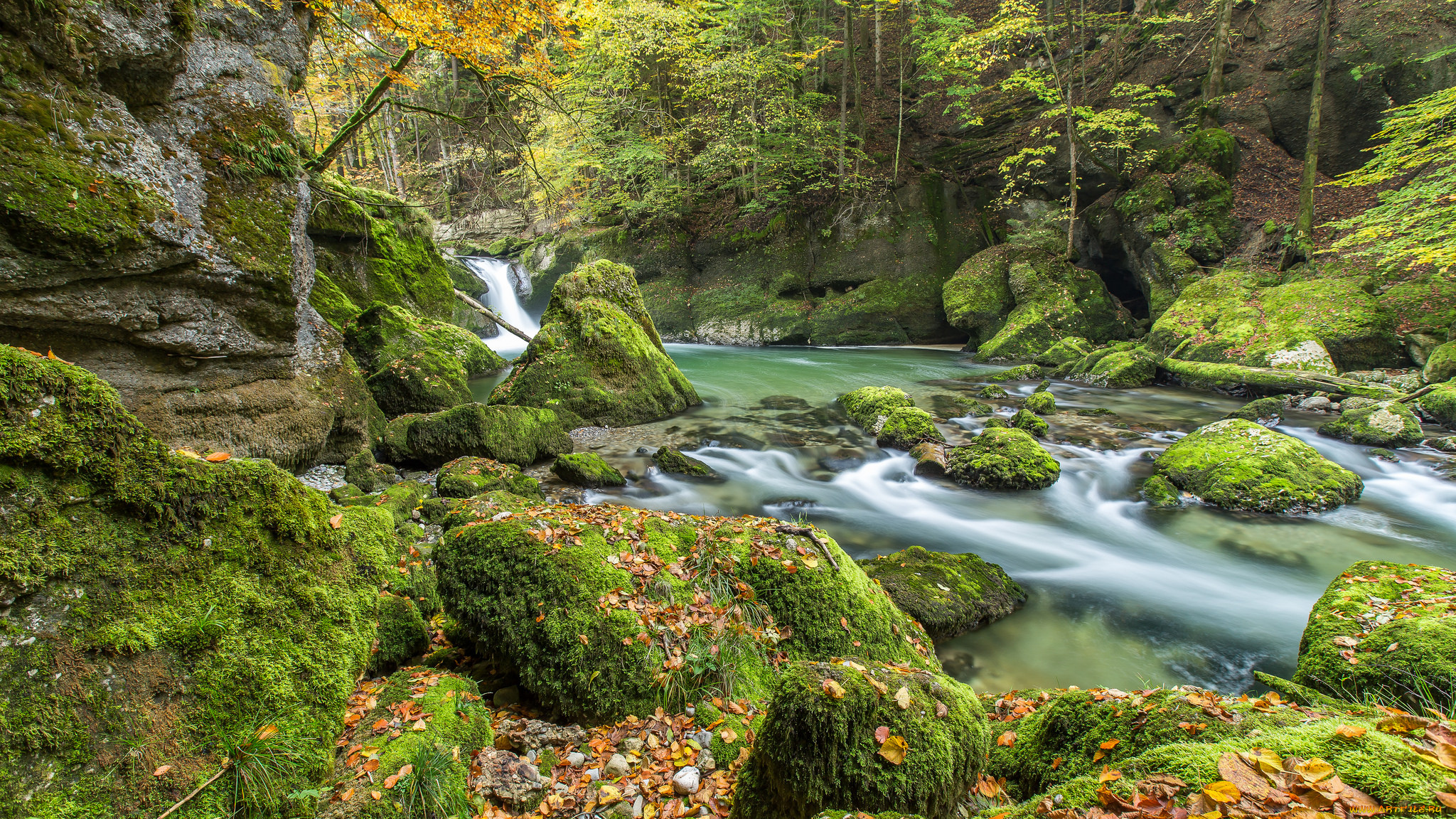 природа, реки, озера, река, лес