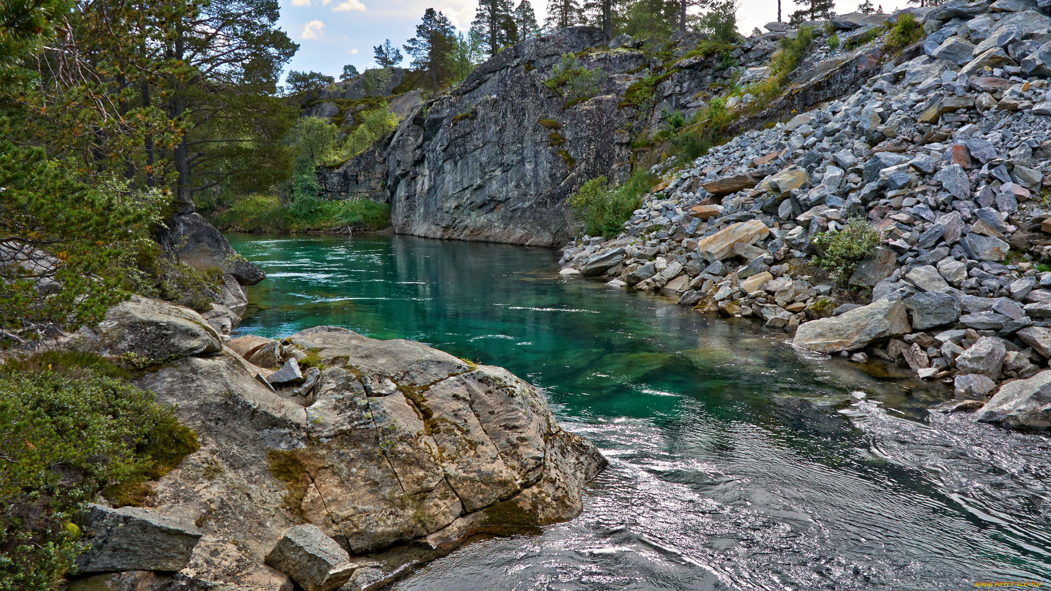 природа, реки, озера, река, лес