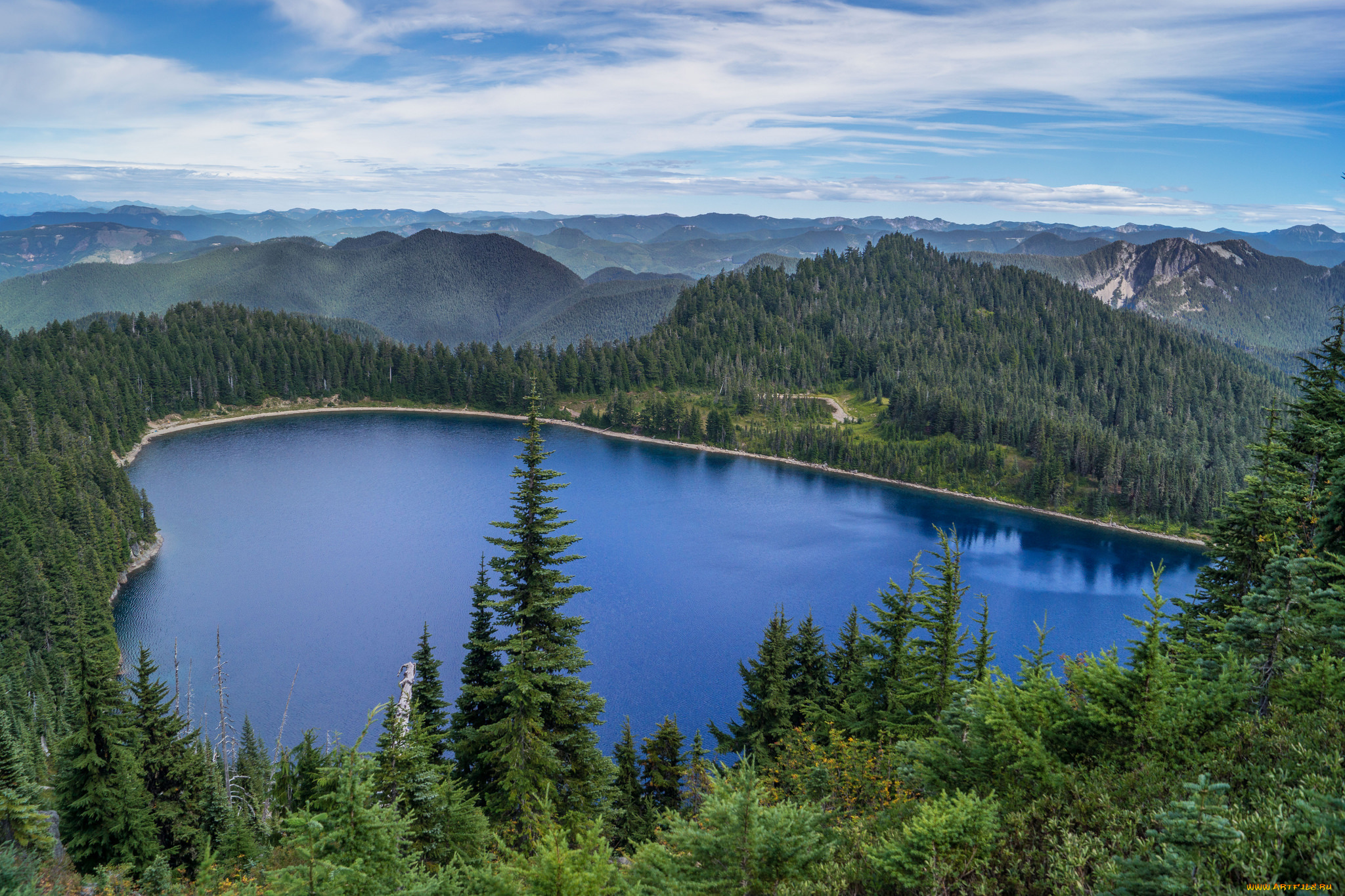 природа, реки, озера, река, лес