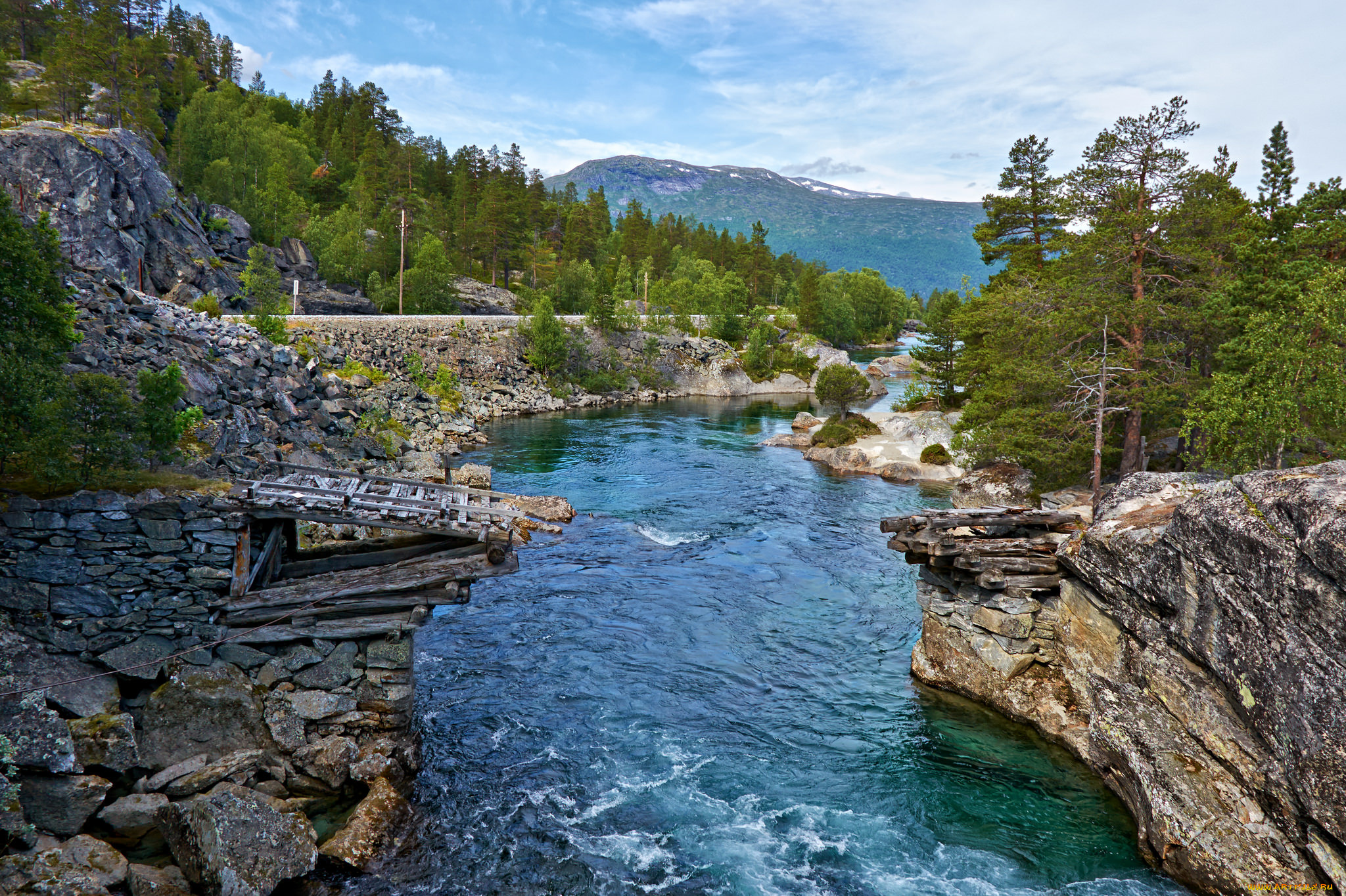 природа, реки, озера, река, лес