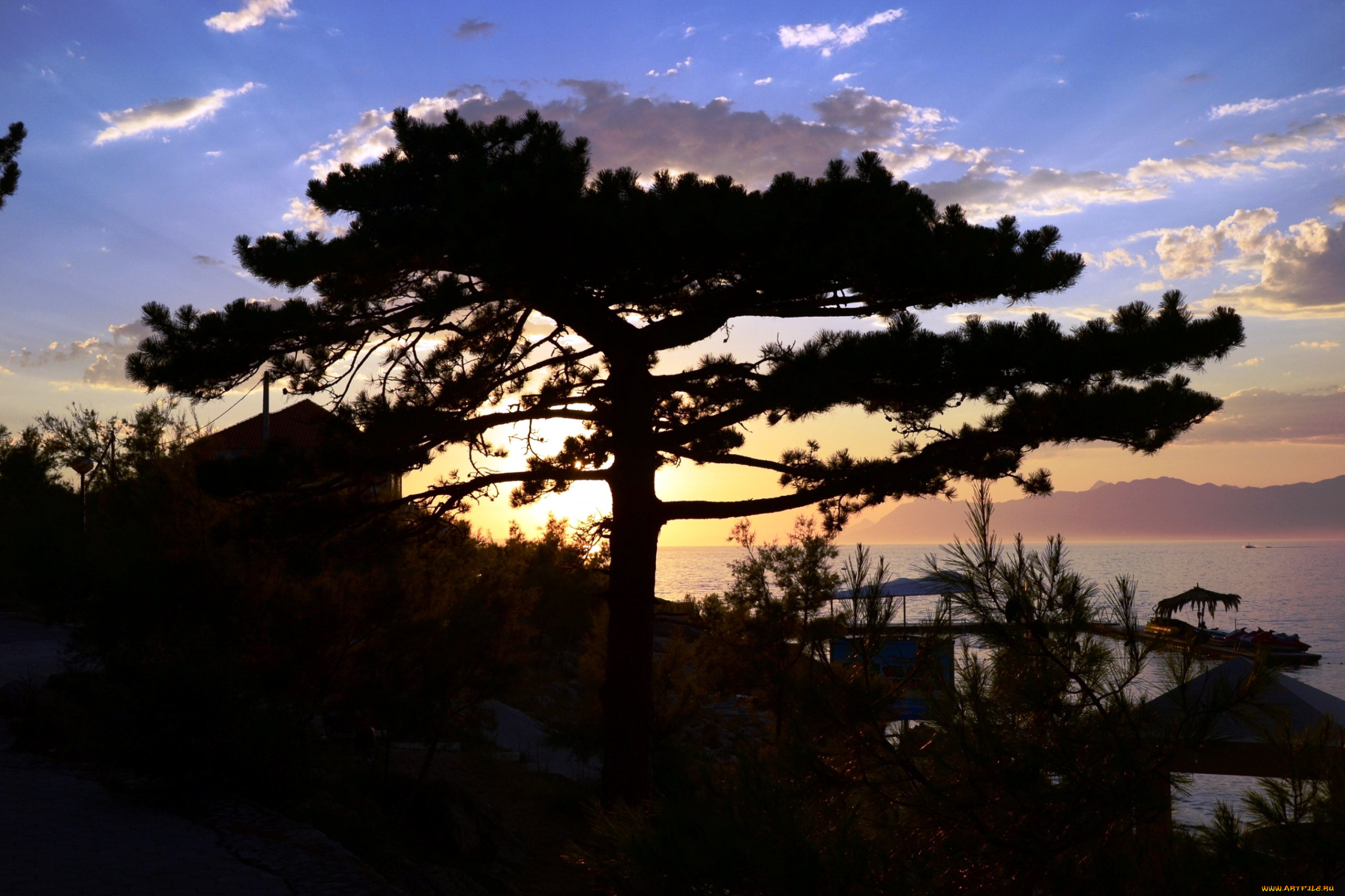 природа, восходы, закаты, дерево, закат, облака