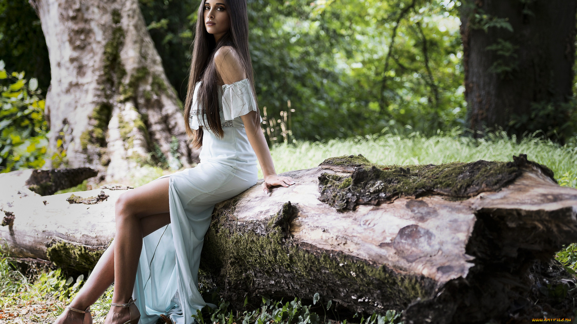 девушки, -unsort, , брюнетки, темноволосые, лицо, взгляд