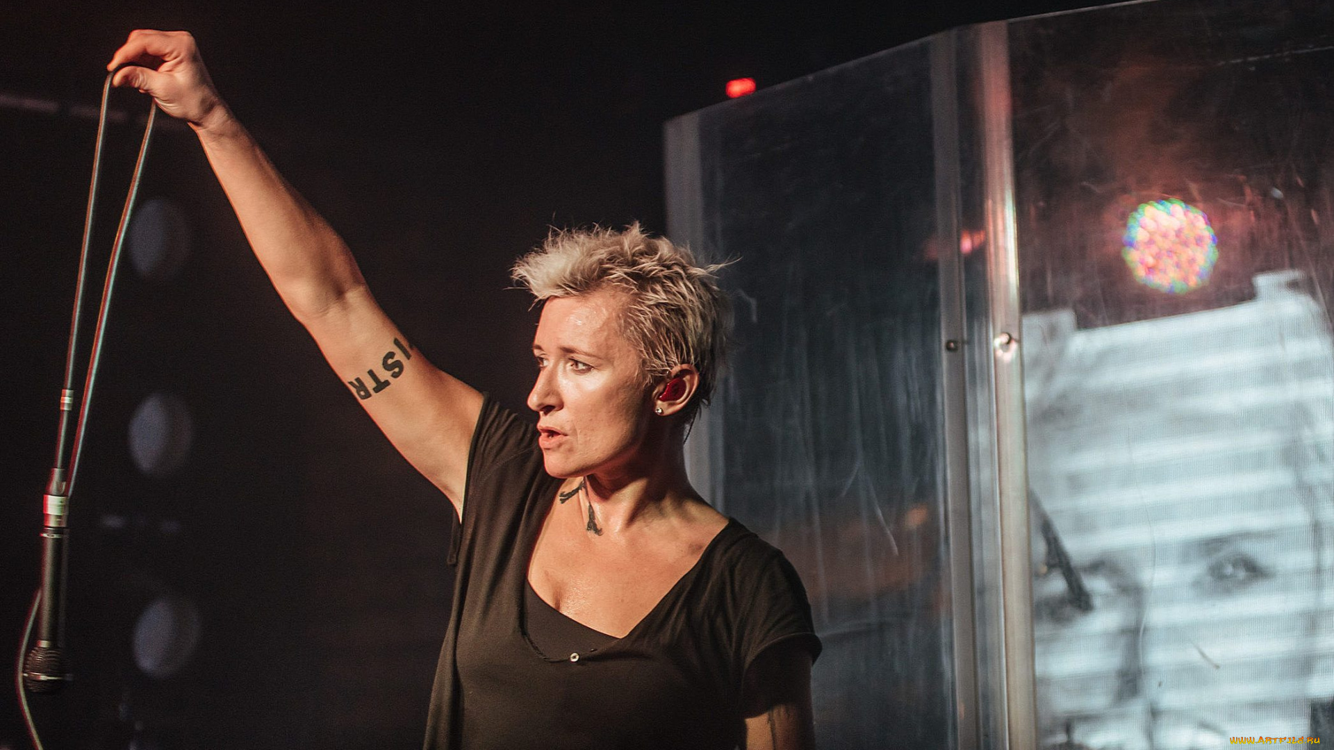 диана, арбенина, музыка, ночные, снайперы, концерт, женщина, микрофон, певица