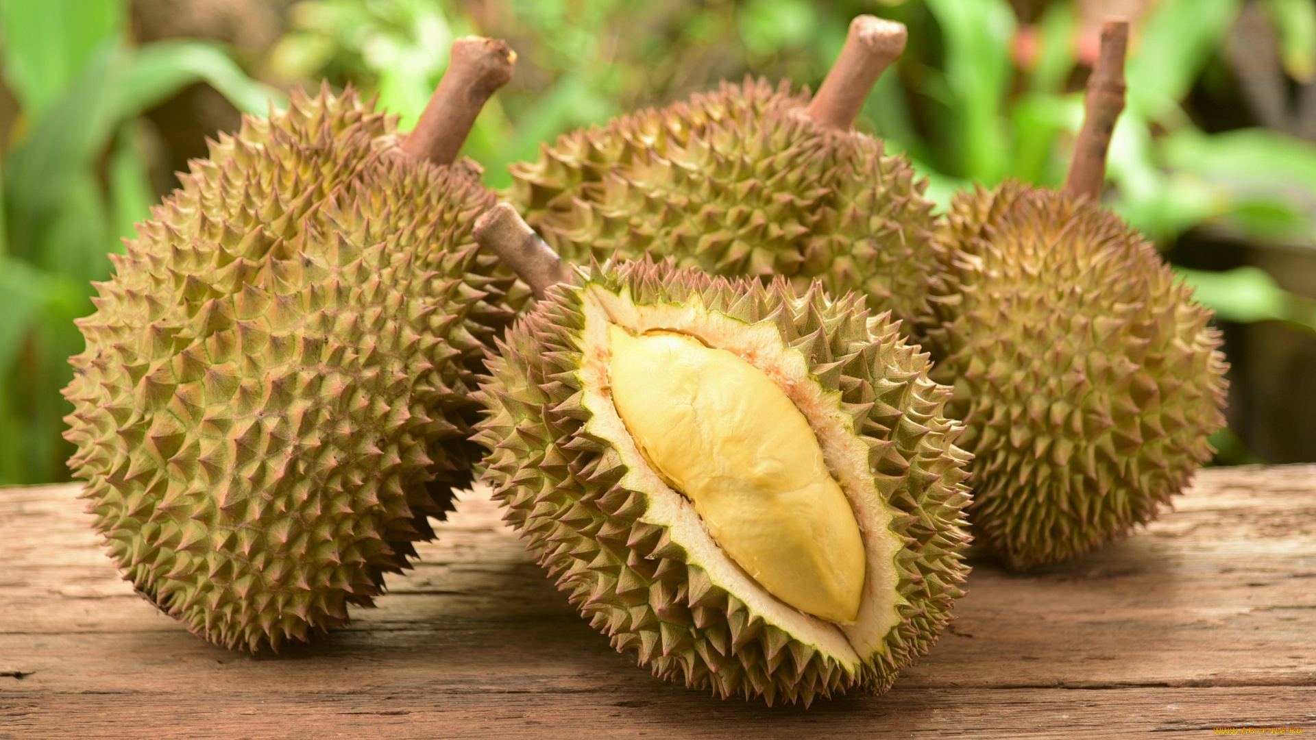 еда, дуриан