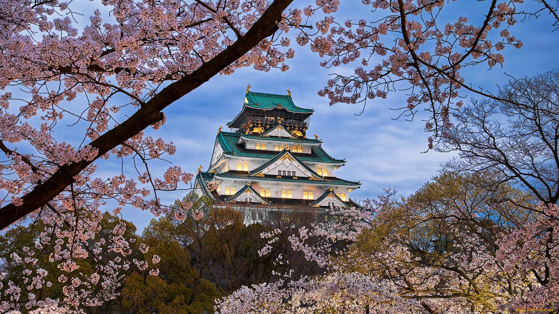 osaka, castle, in, japan, города, осака, , Япония, простор