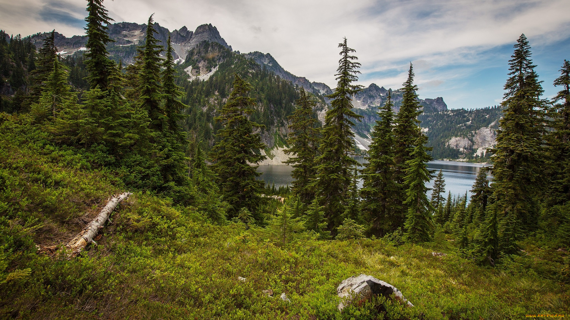природа, пейзажи, простор