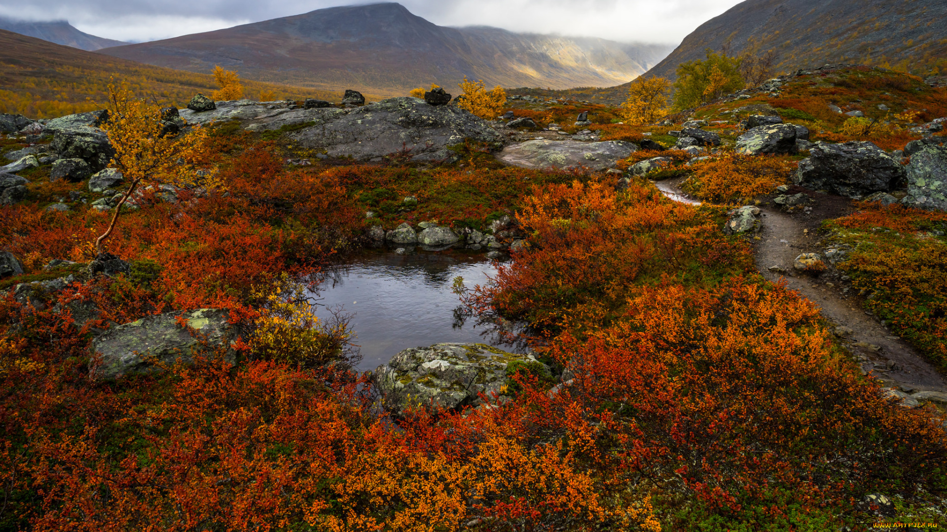 природа, пейзажи, простор