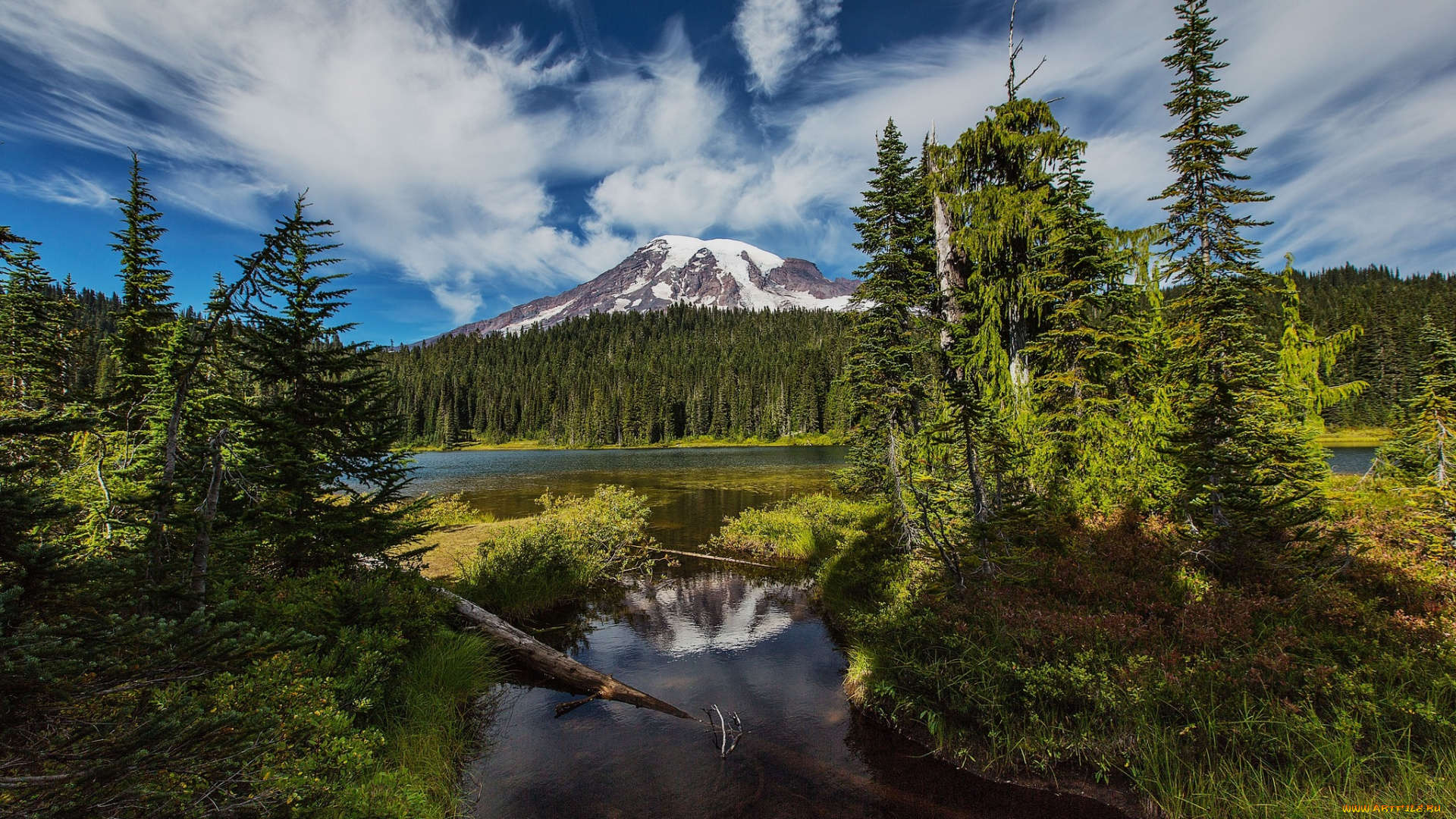 природа, пейзажи, простор