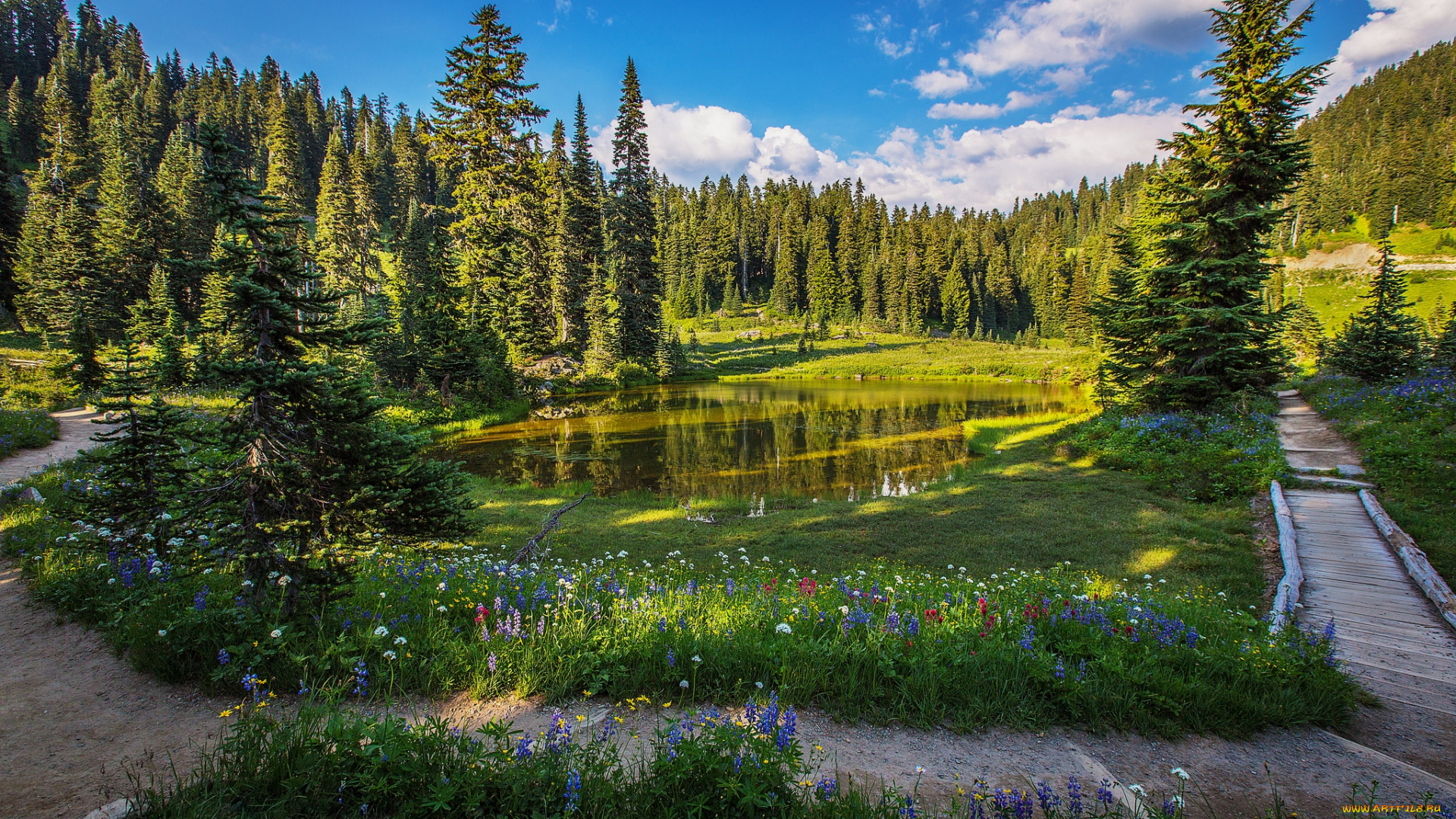 природа, пейзажи, простор