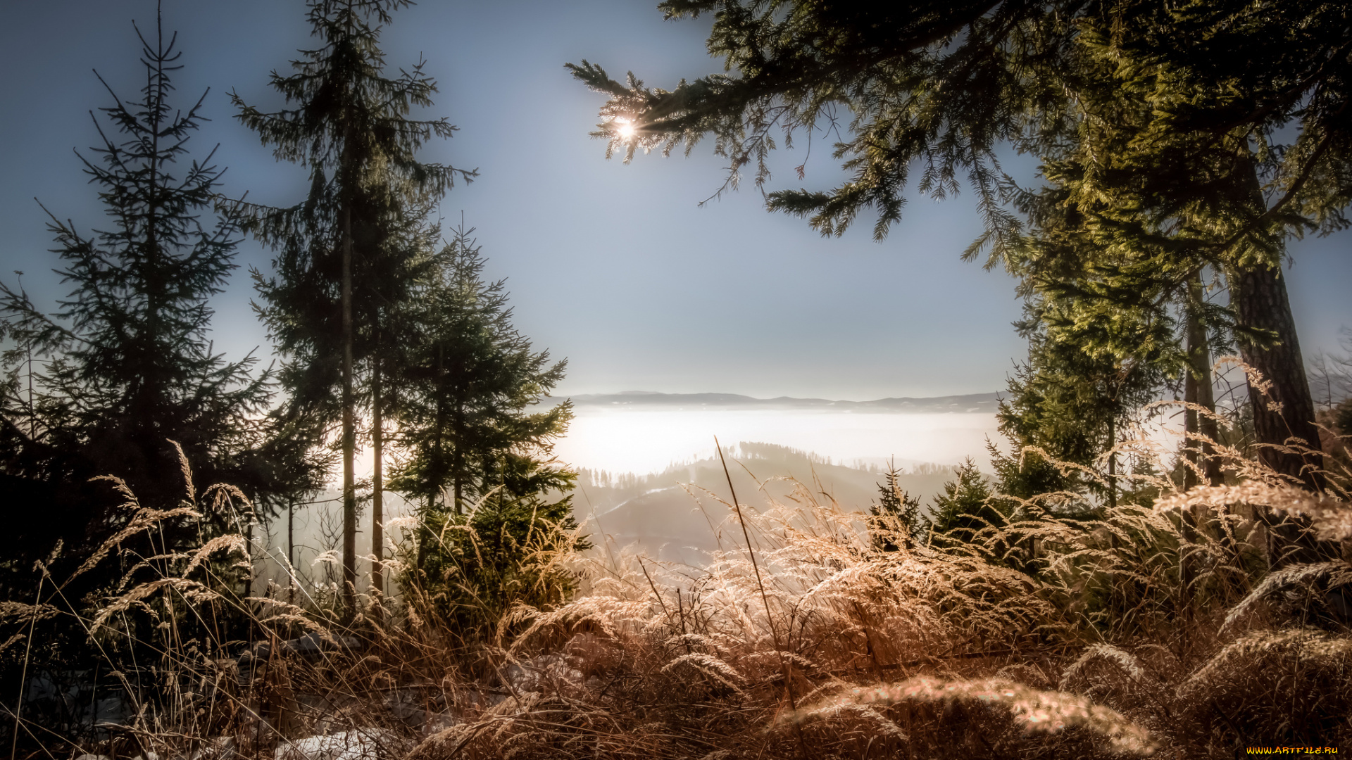 природа, пейзажи, простор